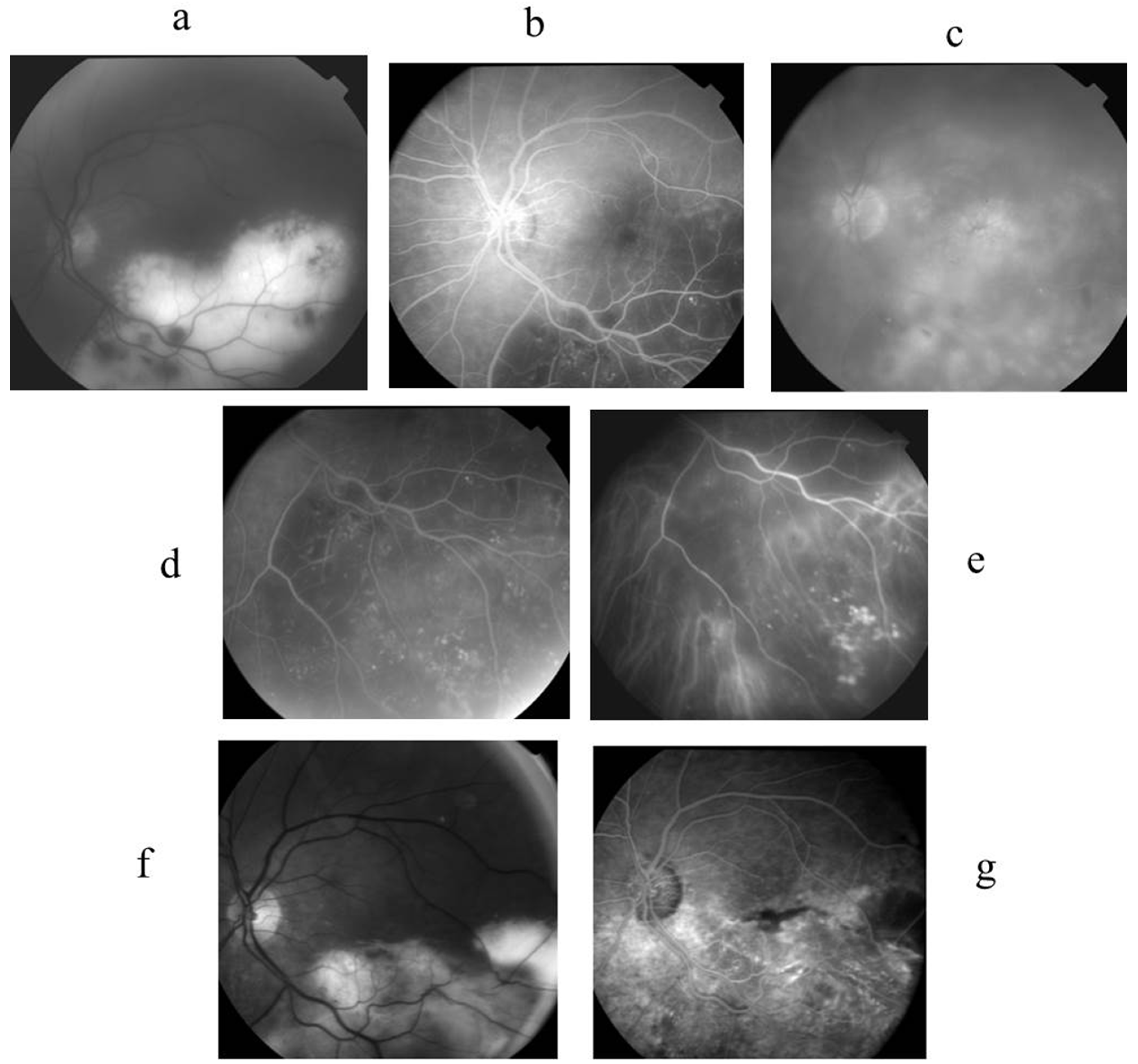 Ijms 26 10421 g003 Ijms 26 10421 g003