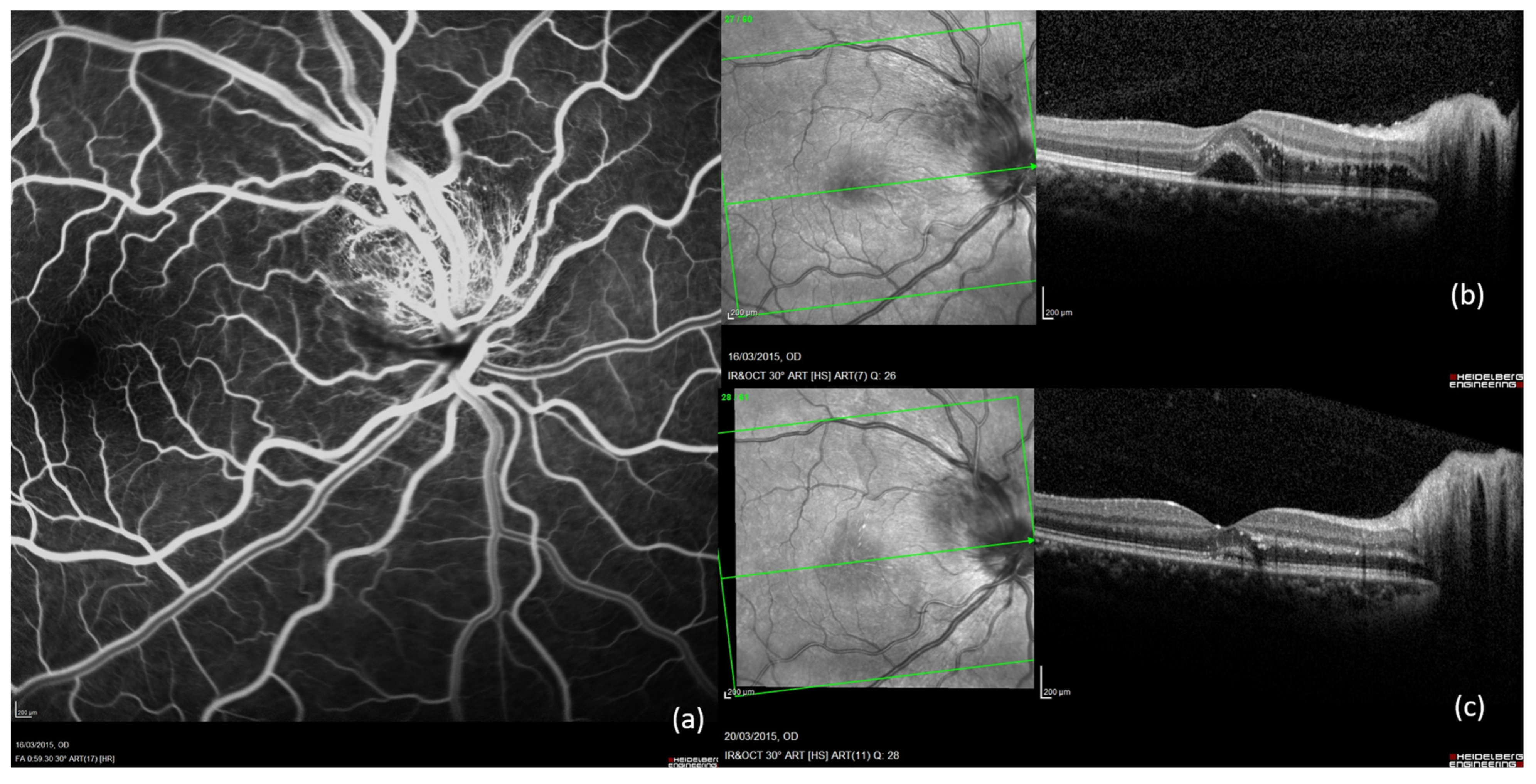 Ijms 26 10421 g004 Ijms 26 10421 g004