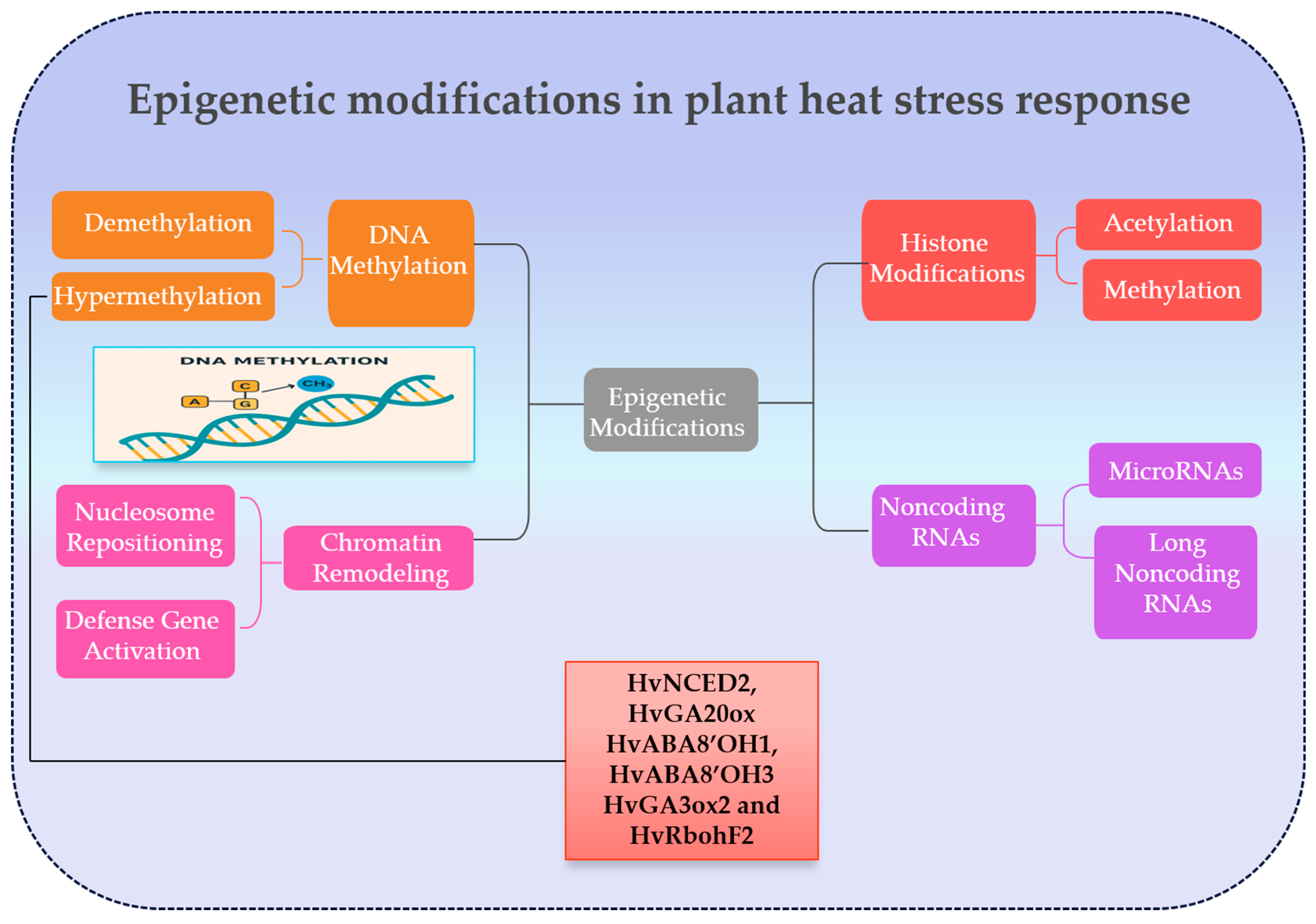 Ijms 26 10426 g003 Ijms 26 10426 g003