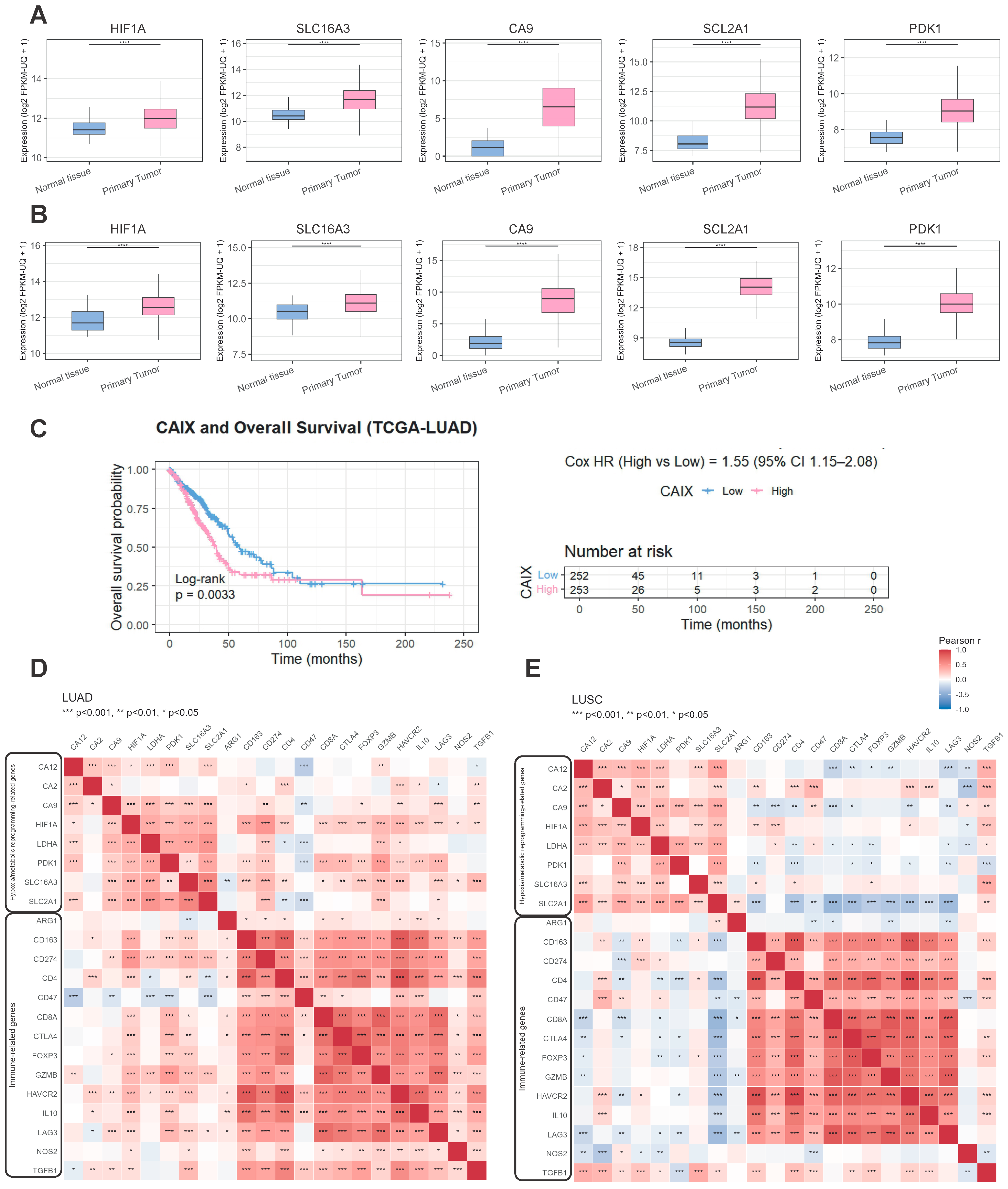 Ijms 26 10427 g001 Ijms 26 10427 g001