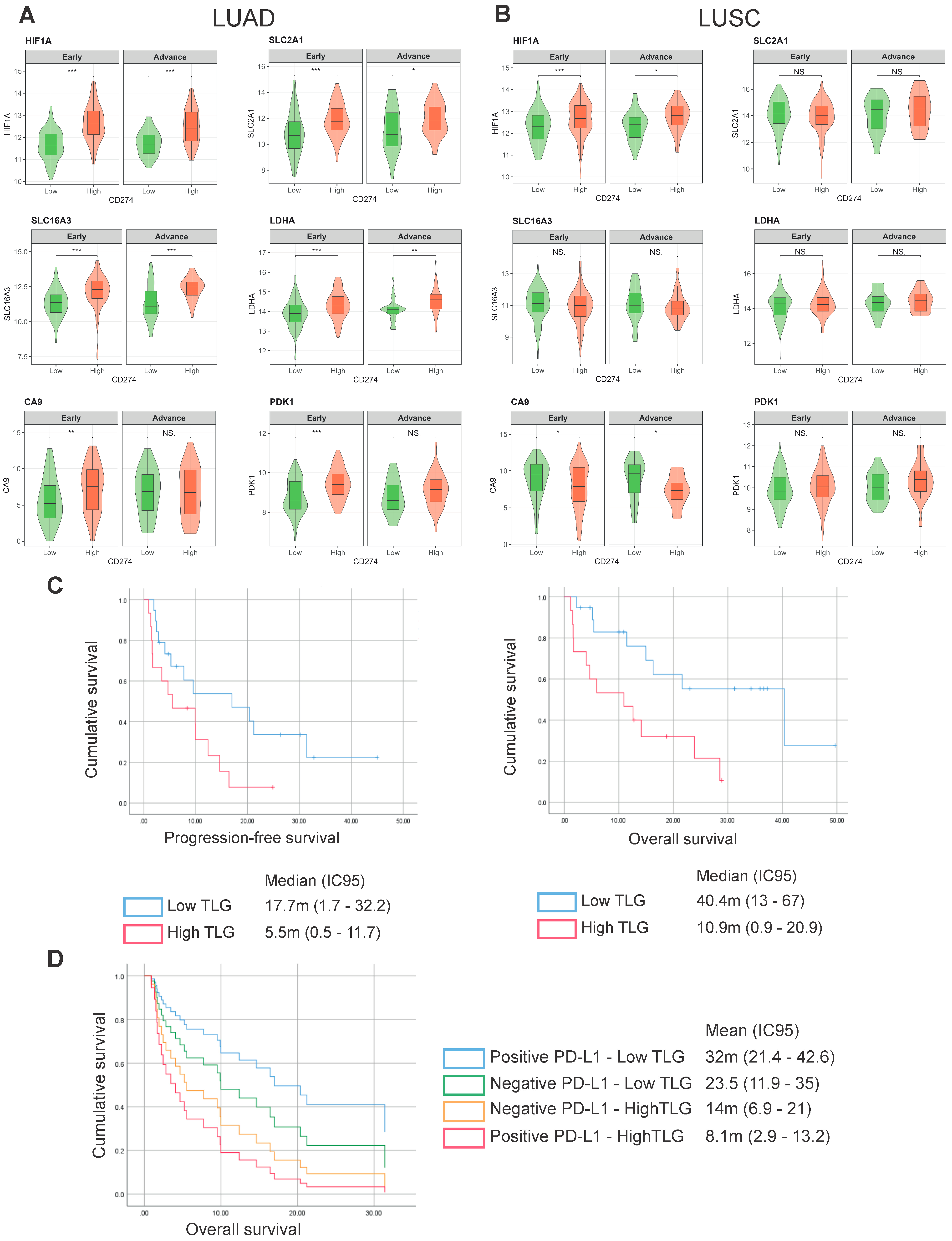 Ijms 26 10427 g002 Ijms 26 10427 g002