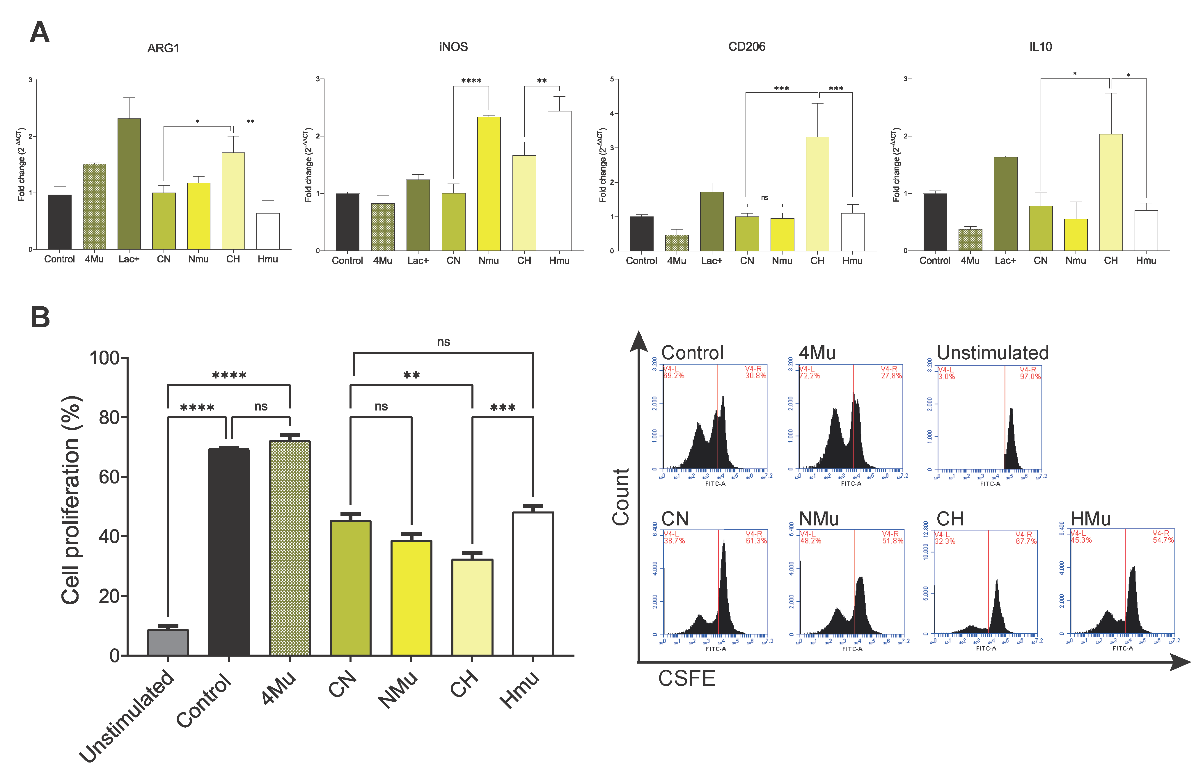 Ijms 26 10427 g004 Ijms 26 10427 g004
