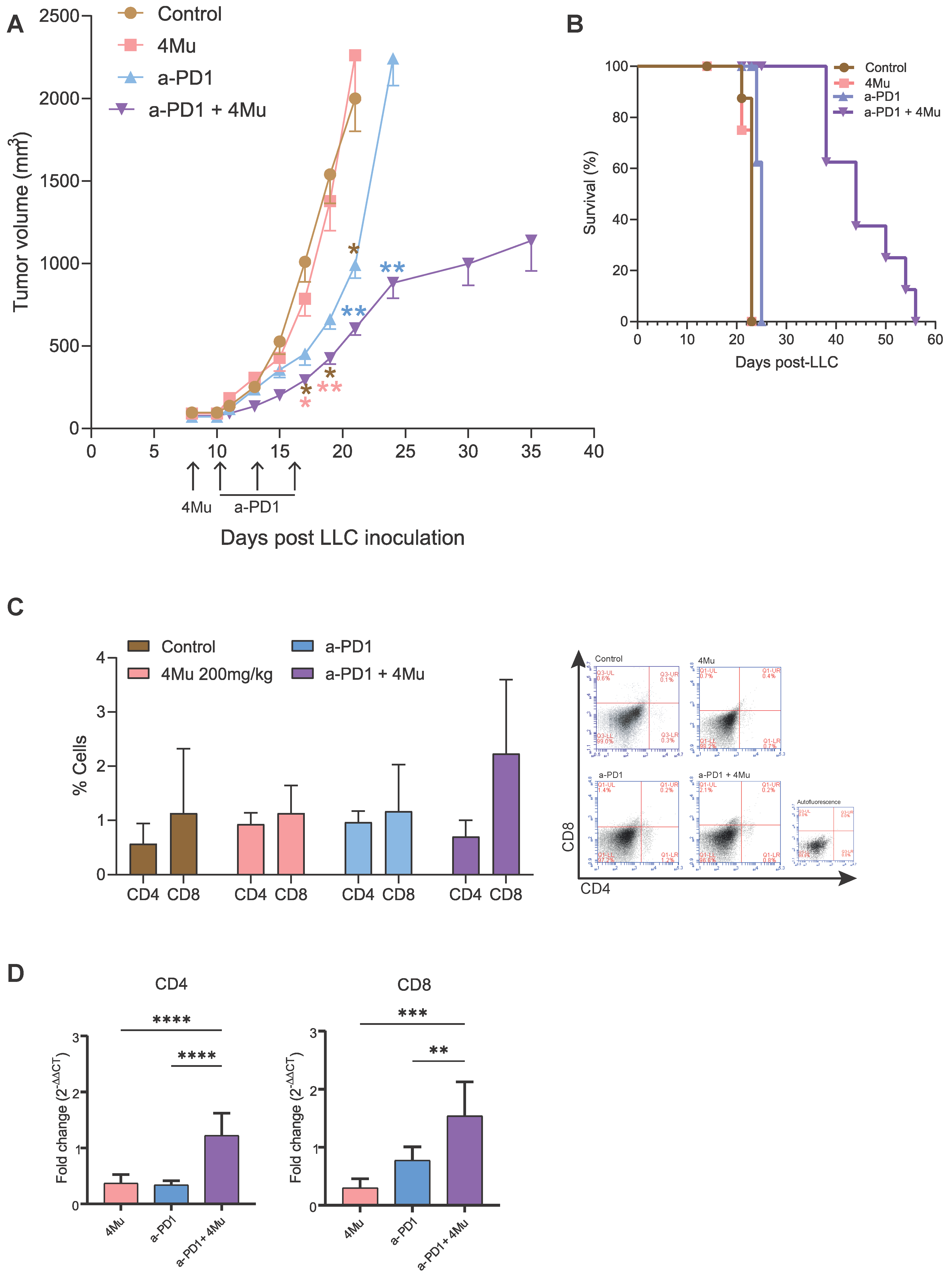 Ijms 26 10427 g006 Ijms 26 10427 g006