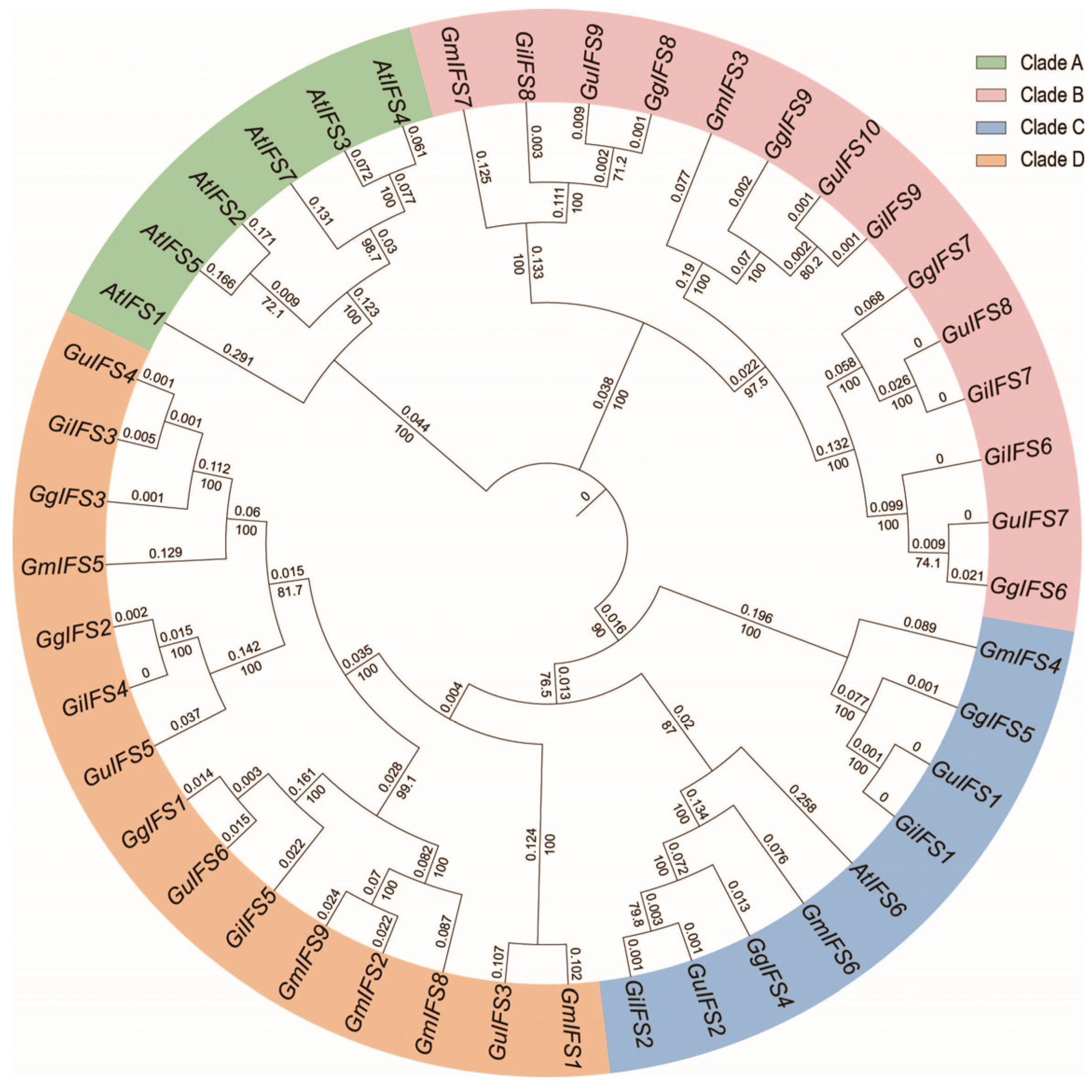 Ijms 26 10435 g001 Ijms 26 10435 g001