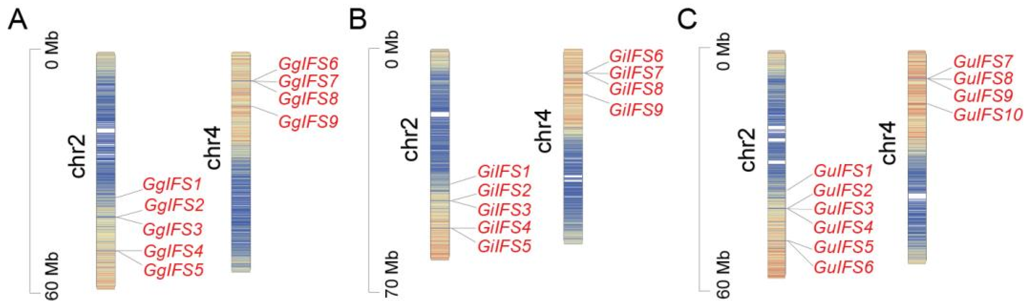 Ijms 26 10435 g002 Ijms 26 10435 g002