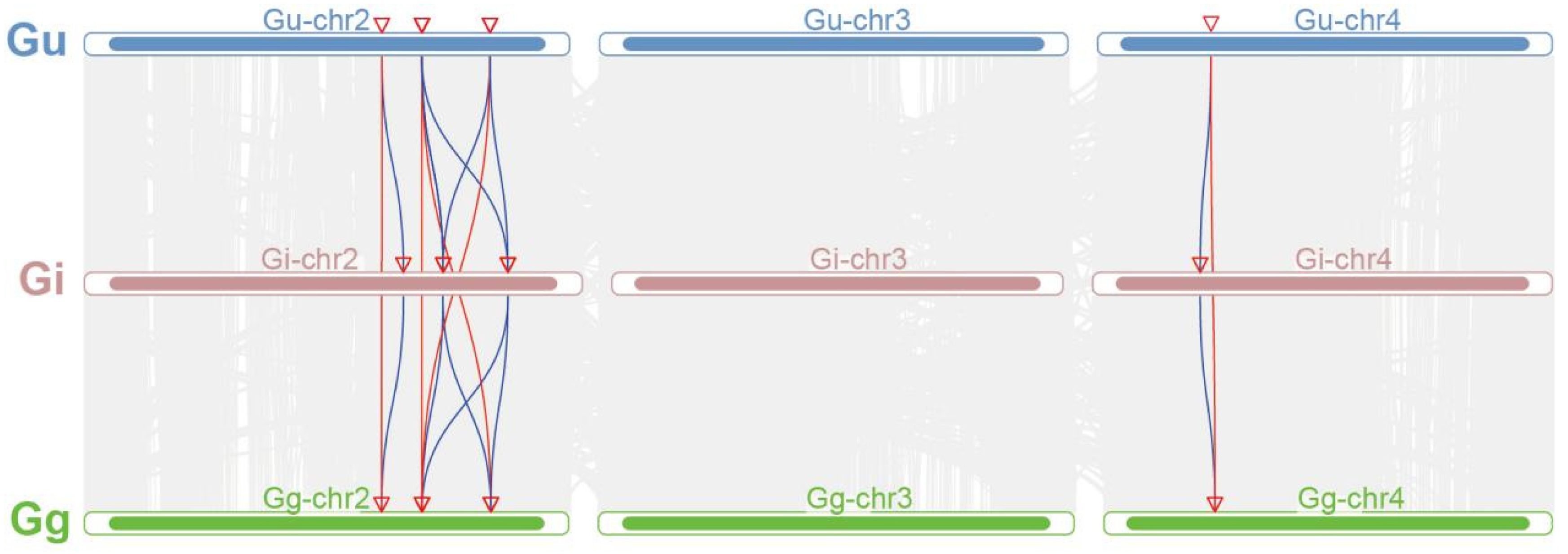 Ijms 26 10435 g003 Ijms 26 10435 g003