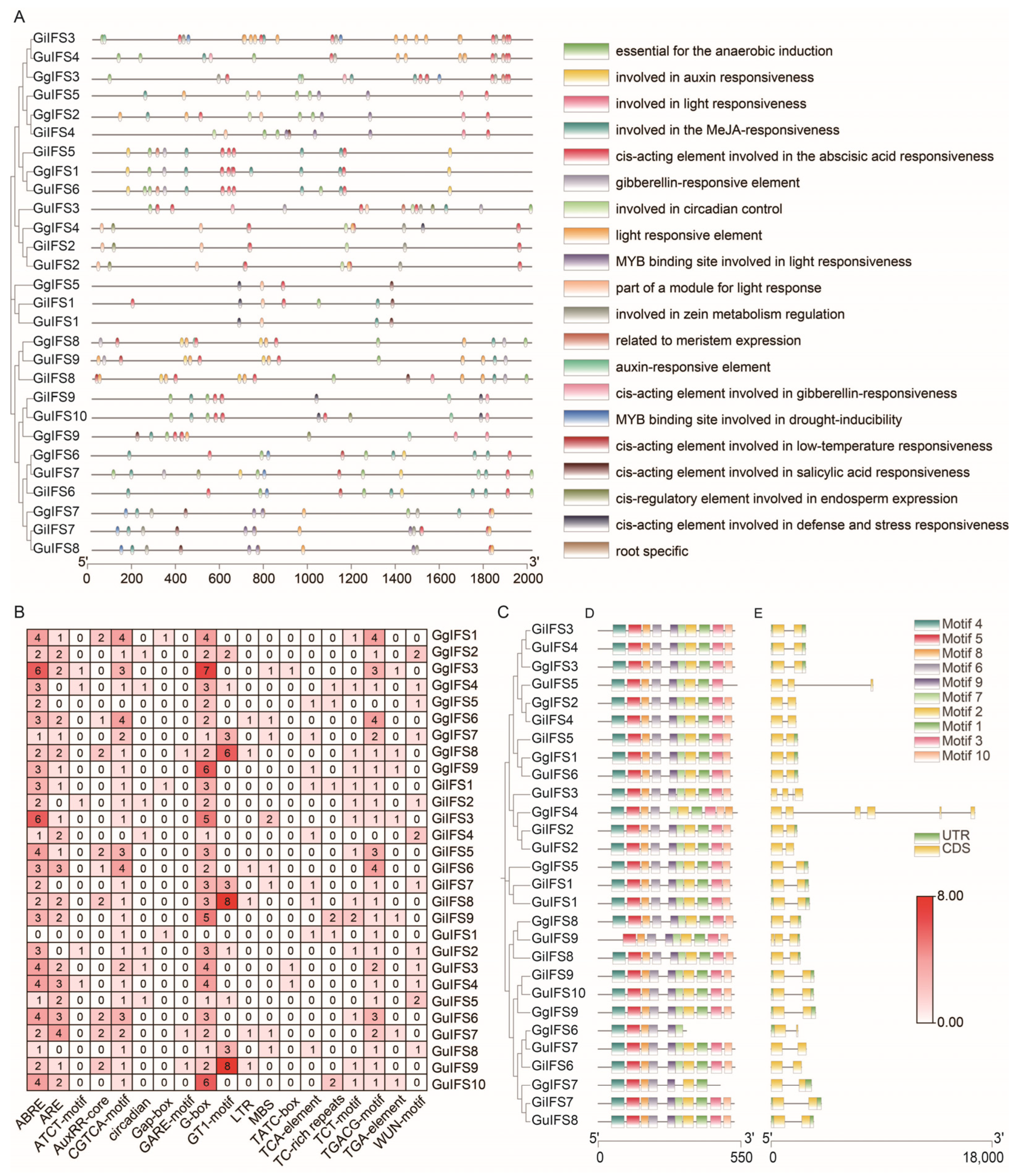 Ijms 26 10435 g004 Ijms 26 10435 g004