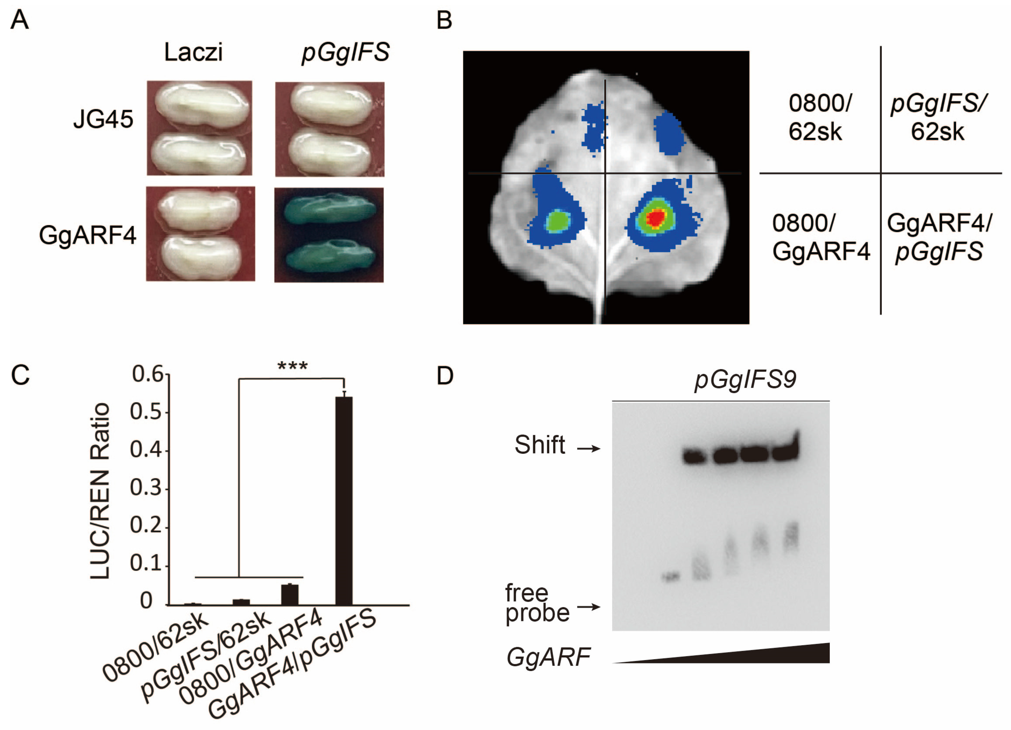 Ijms 26 10435 g005 Ijms 26 10435 g005