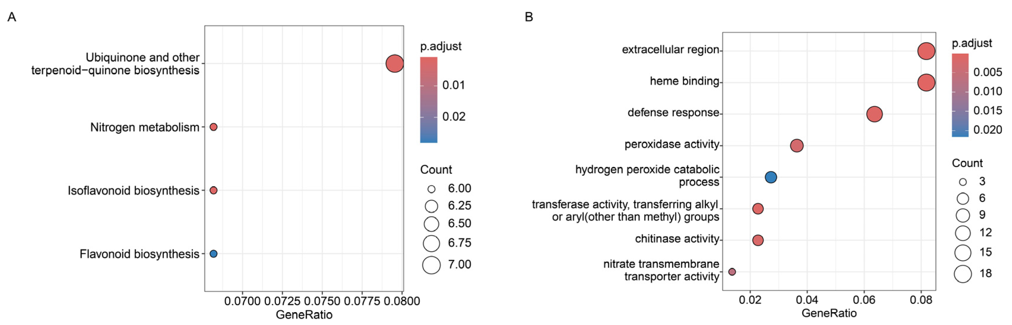Ijms 26 10435 g006 Ijms 26 10435 g006