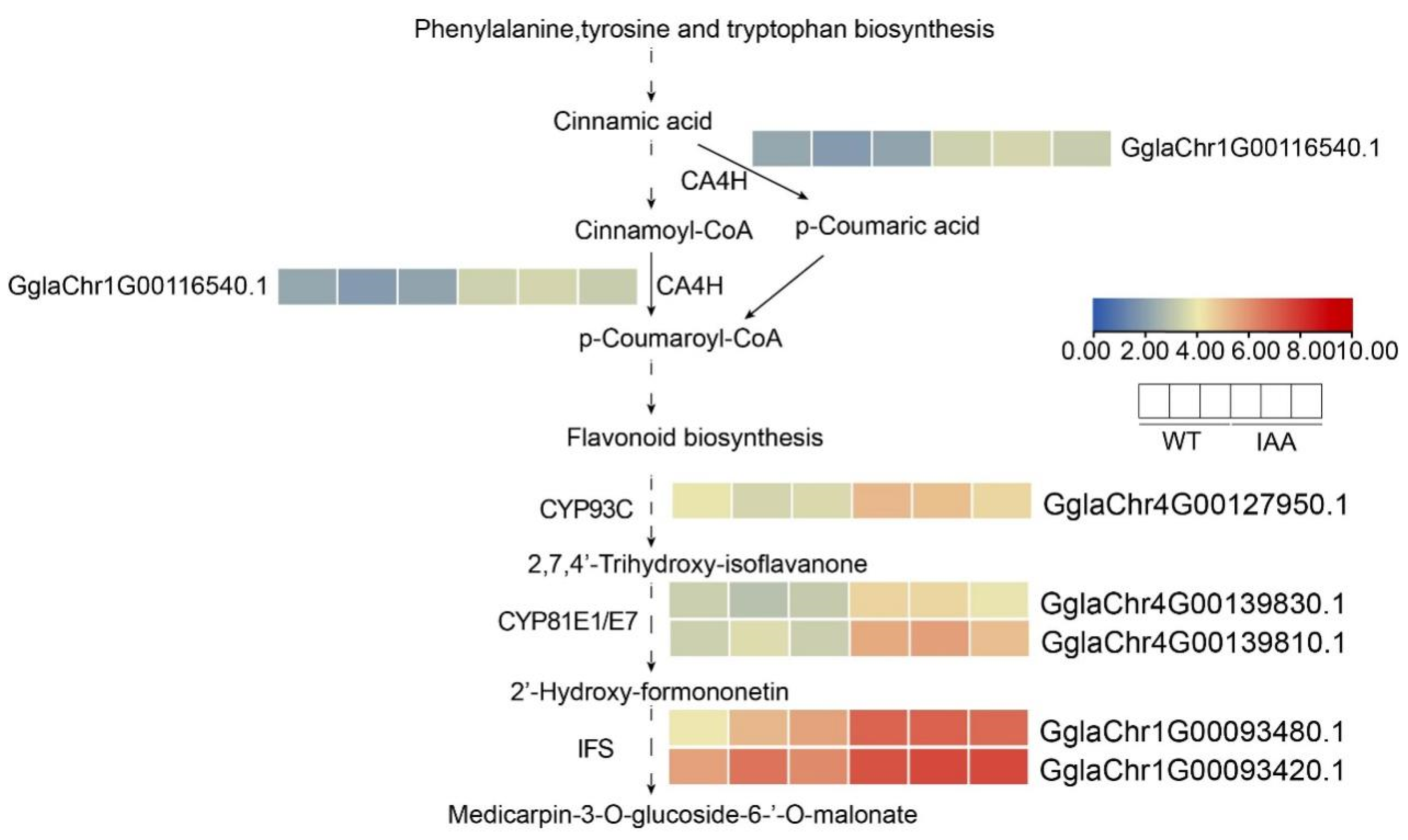 Ijms 26 10435 g007 Ijms 26 10435 g007