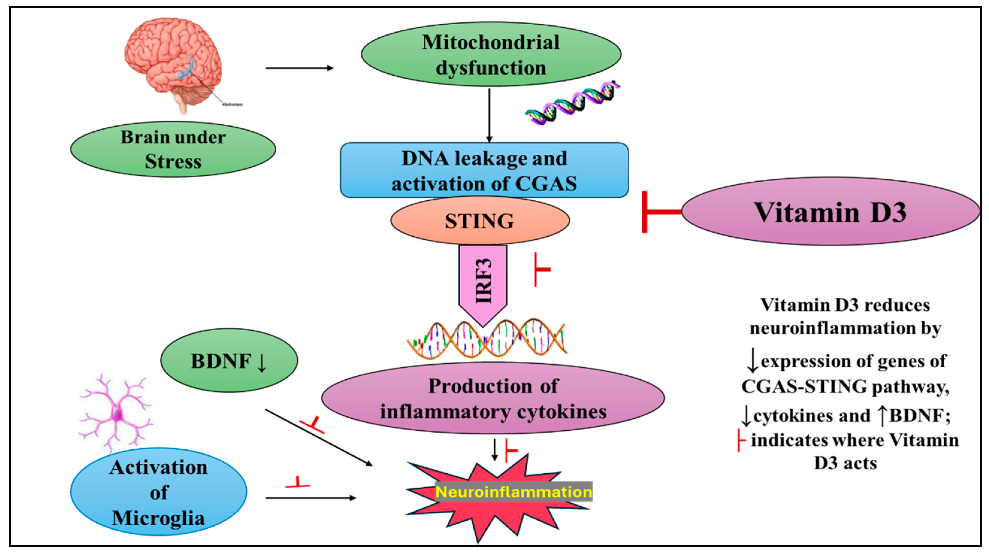 Ijms 26 10436 g004 Ijms 26 10436 g004