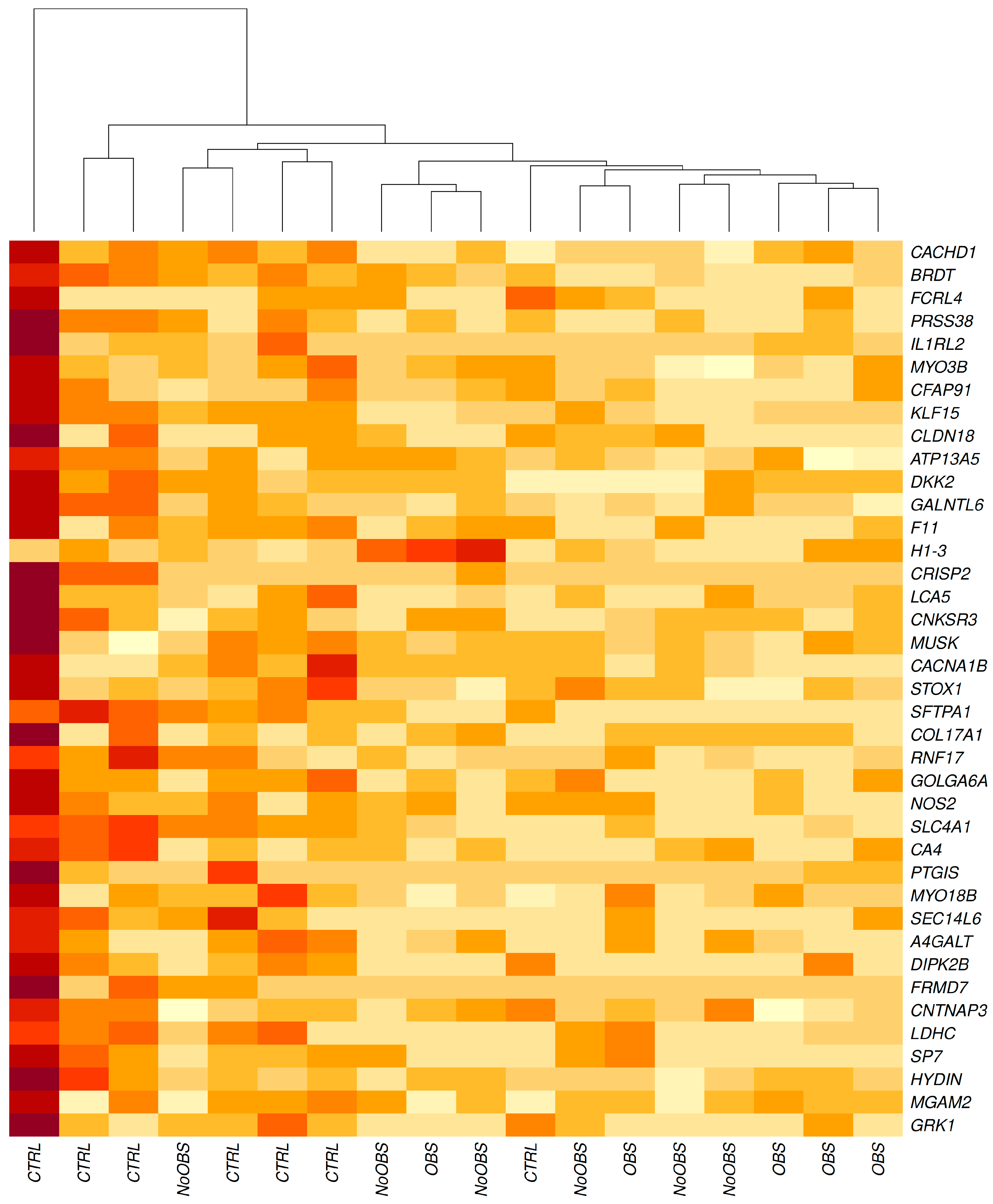 Ijms 26 10437 g002 Ijms 26 10437 g002