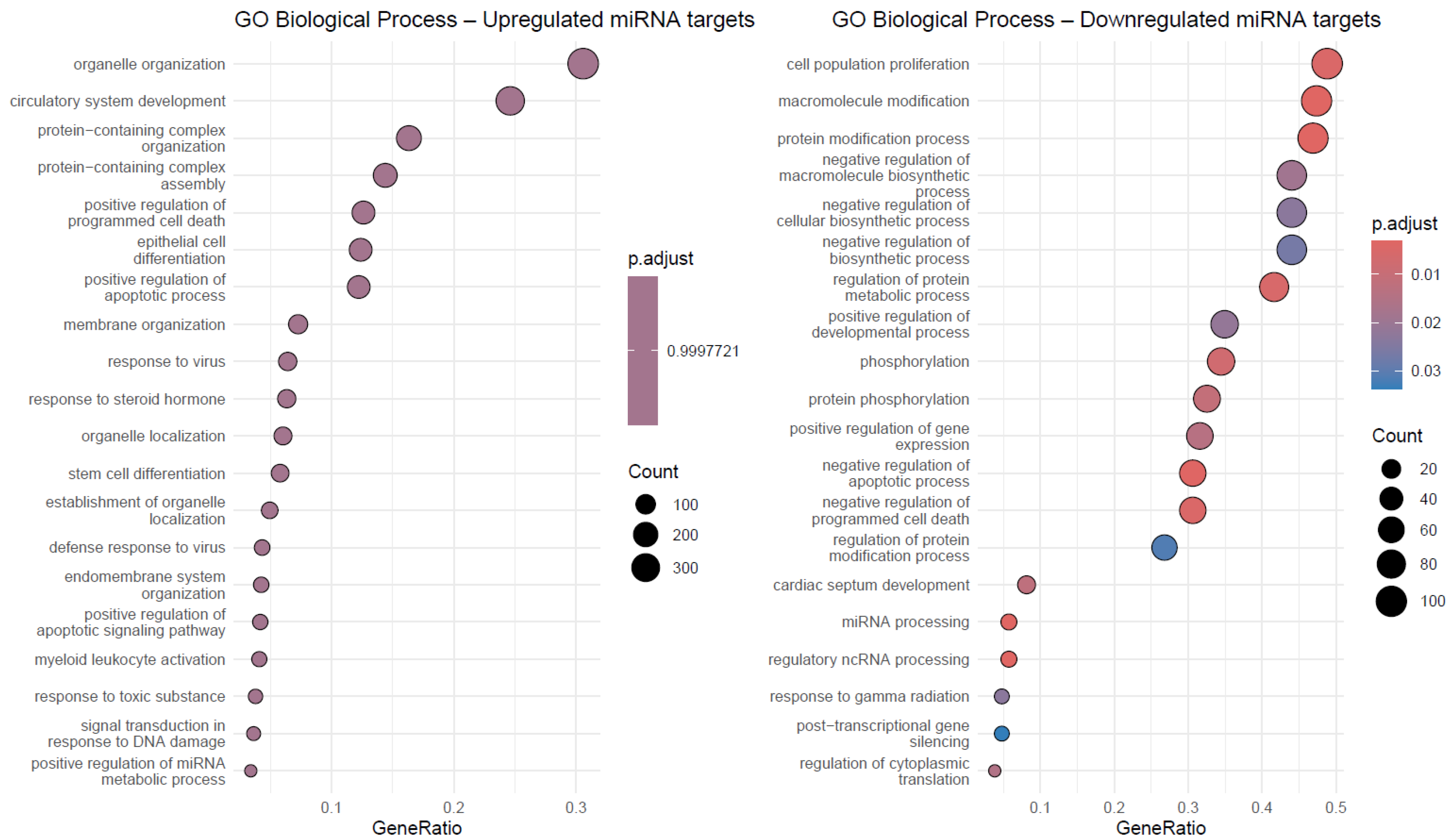 Ijms 26 10438 g003 Ijms 26 10438 g003