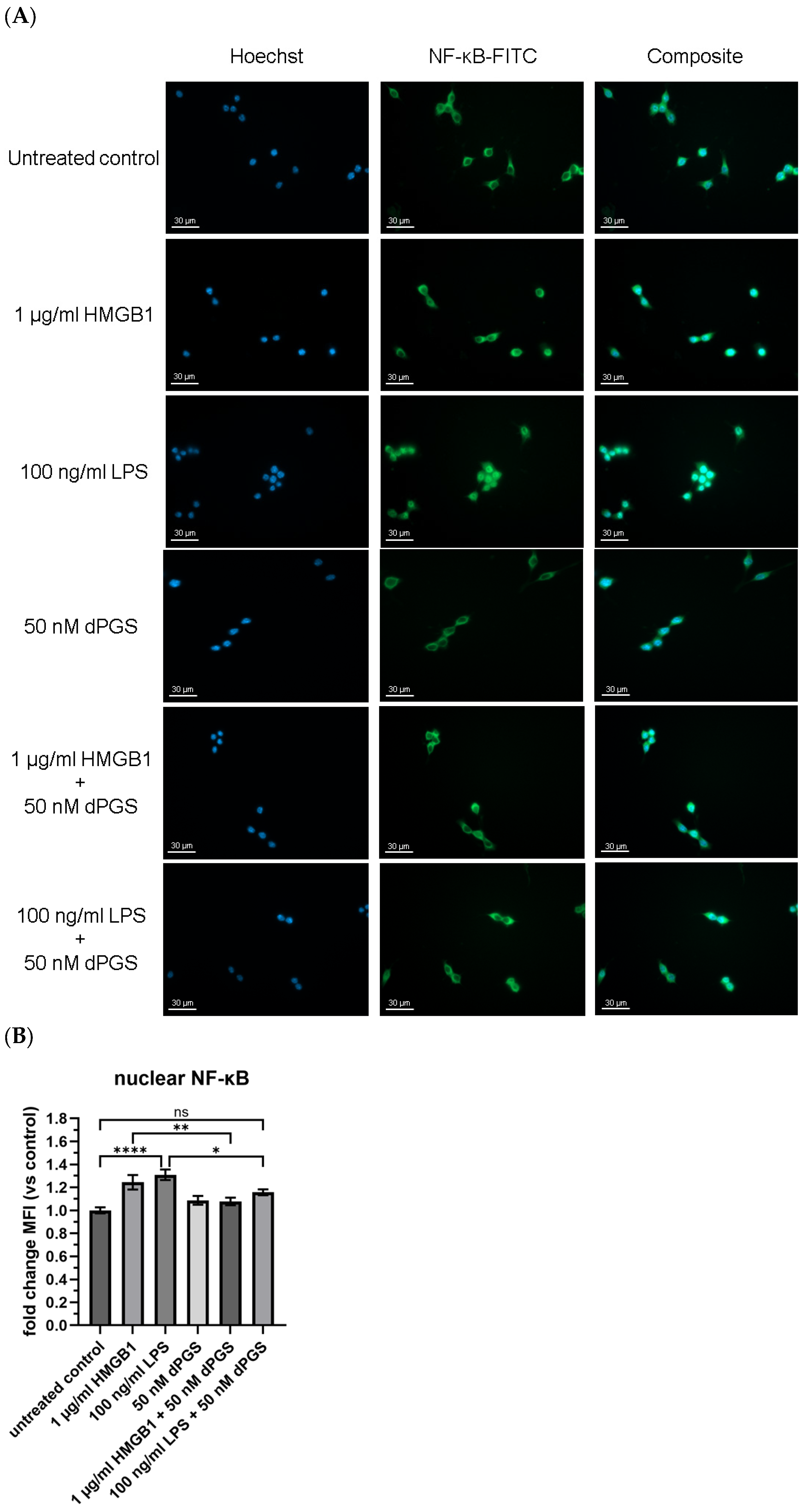 Ijms 26 10440 g002 Ijms 26 10440 g002