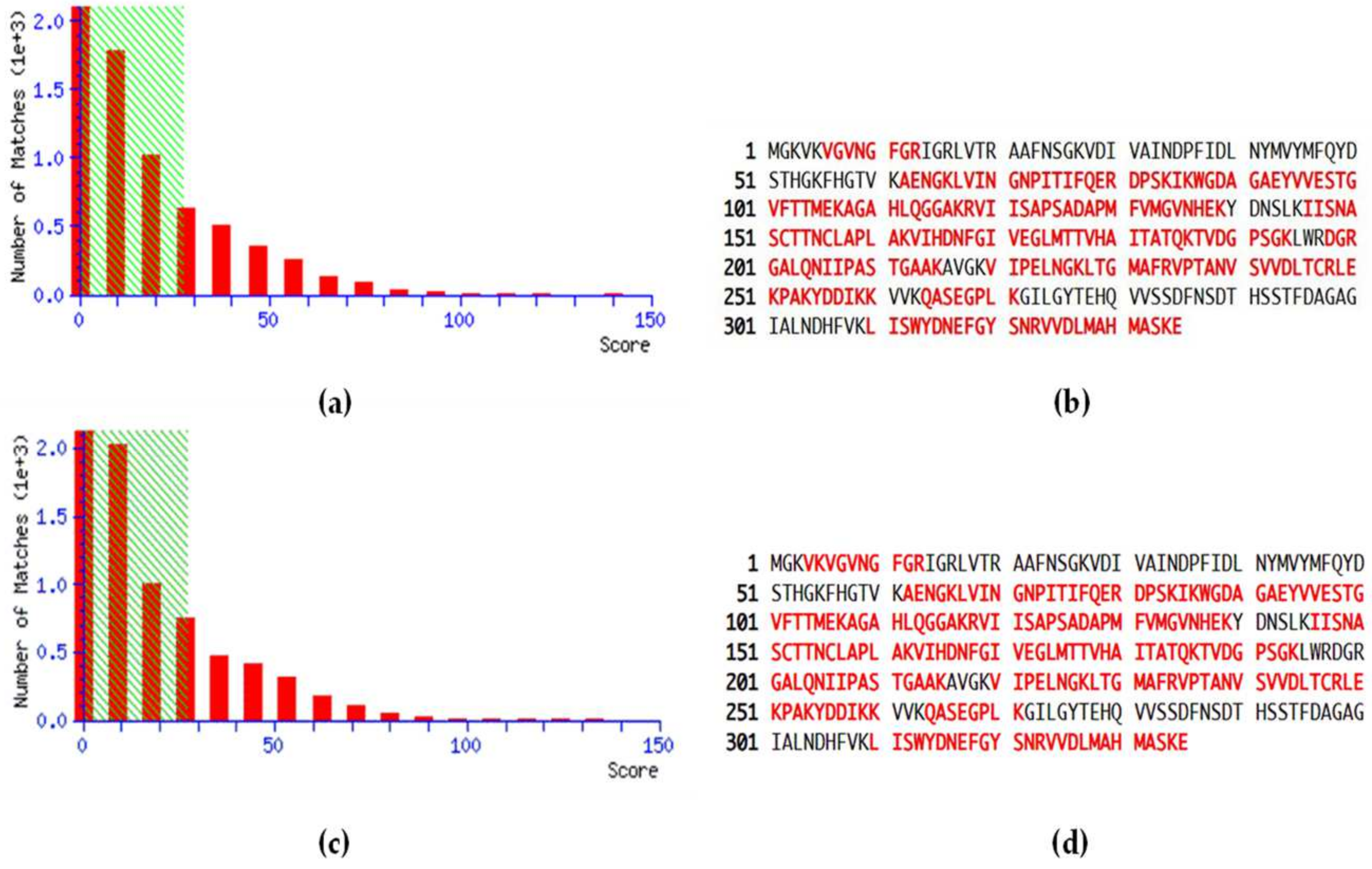 Ijms 26 10441 g001 Ijms 26 10441 g001