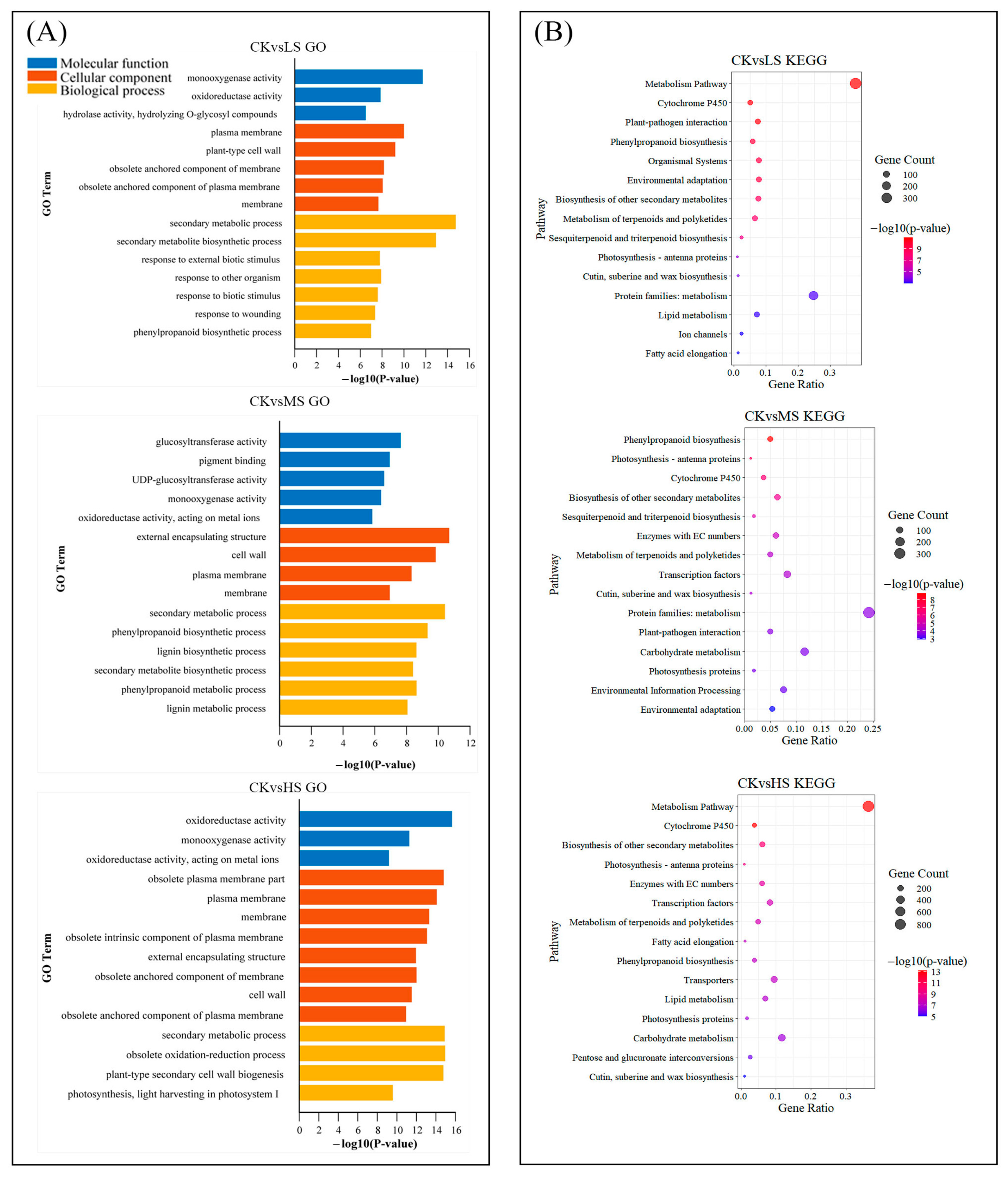 Ijms 26 10444 g003 Ijms 26 10444 g003