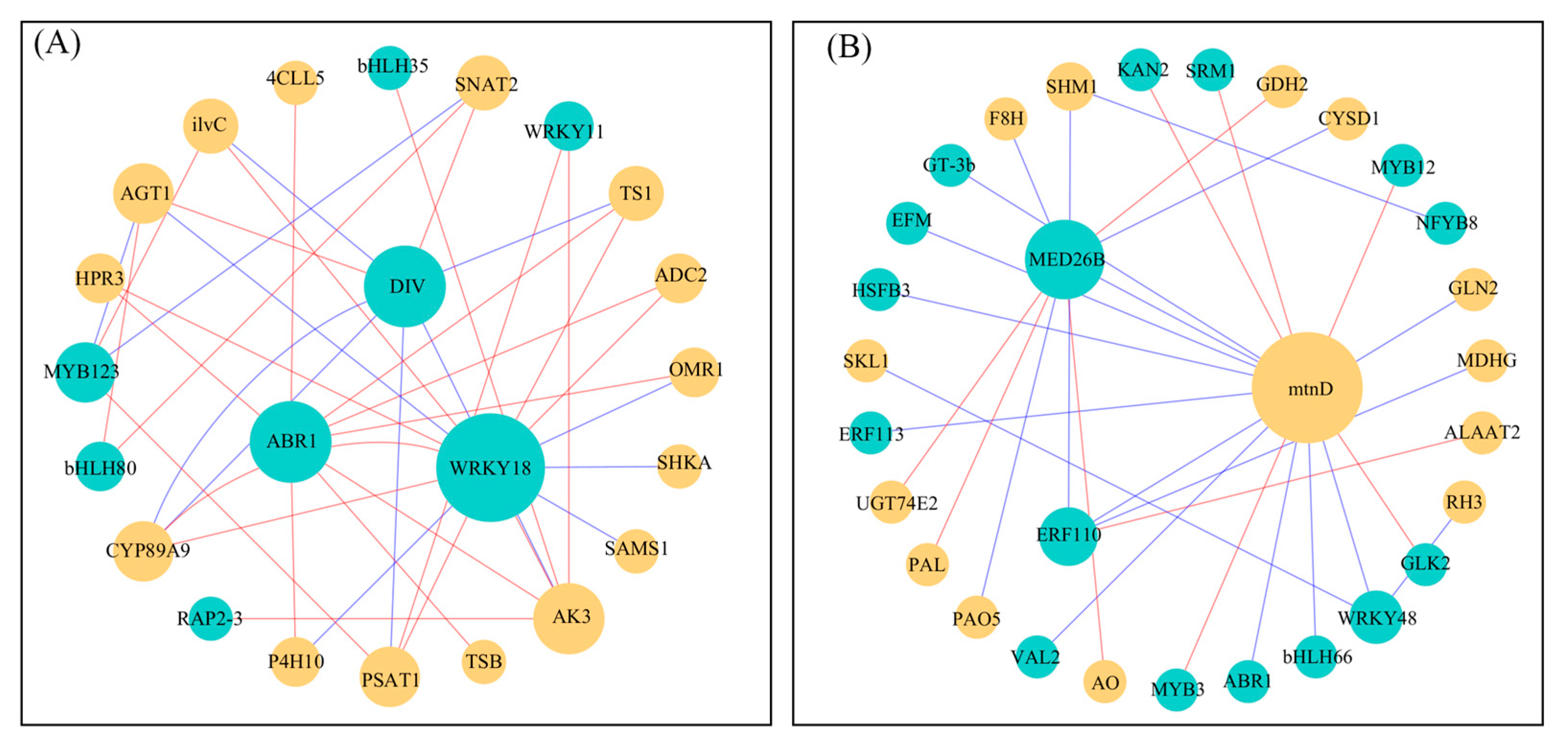 Ijms 26 10444 g005 Ijms 26 10444 g005