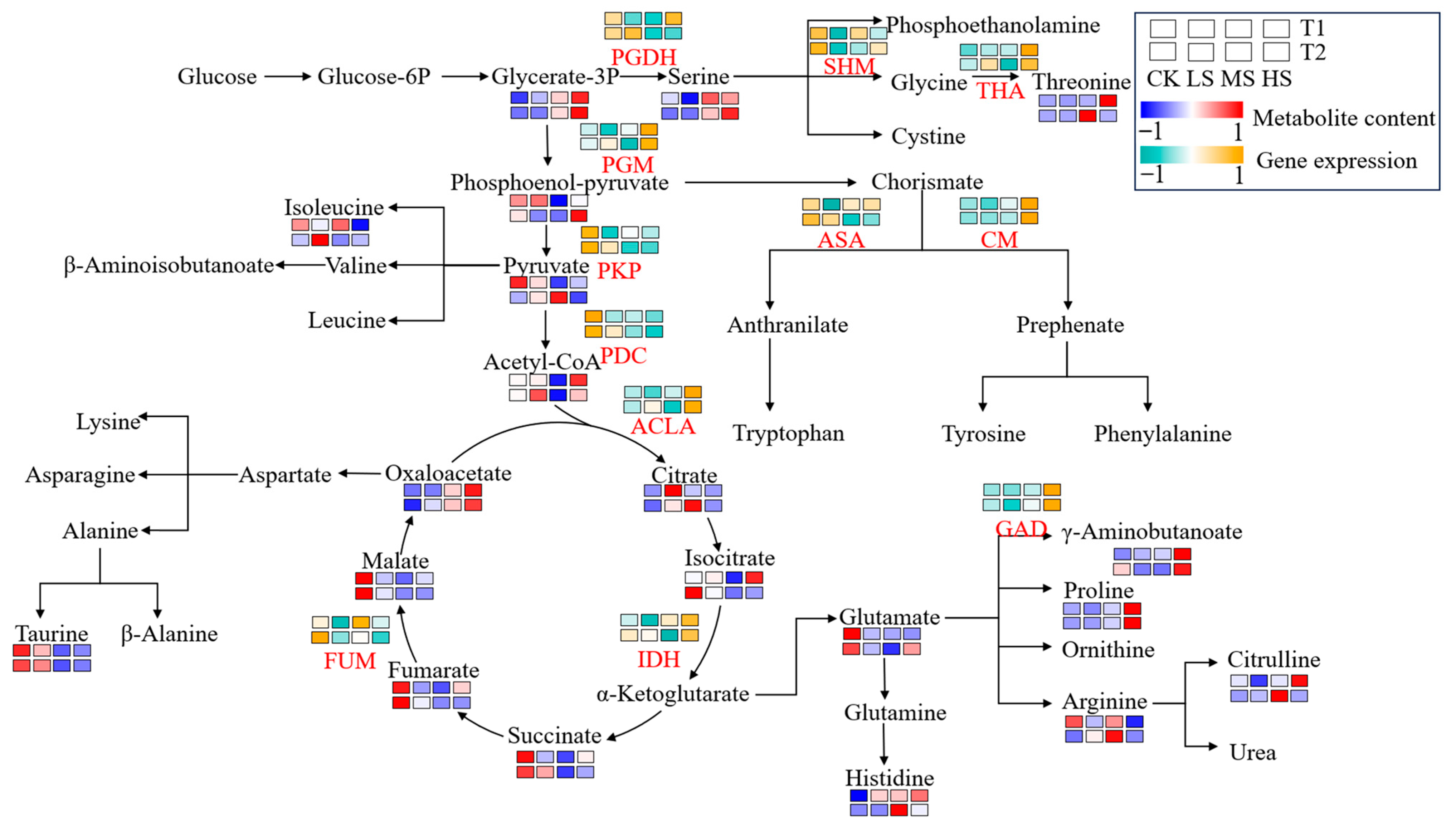 Ijms 26 10444 g006 Ijms 26 10444 g006