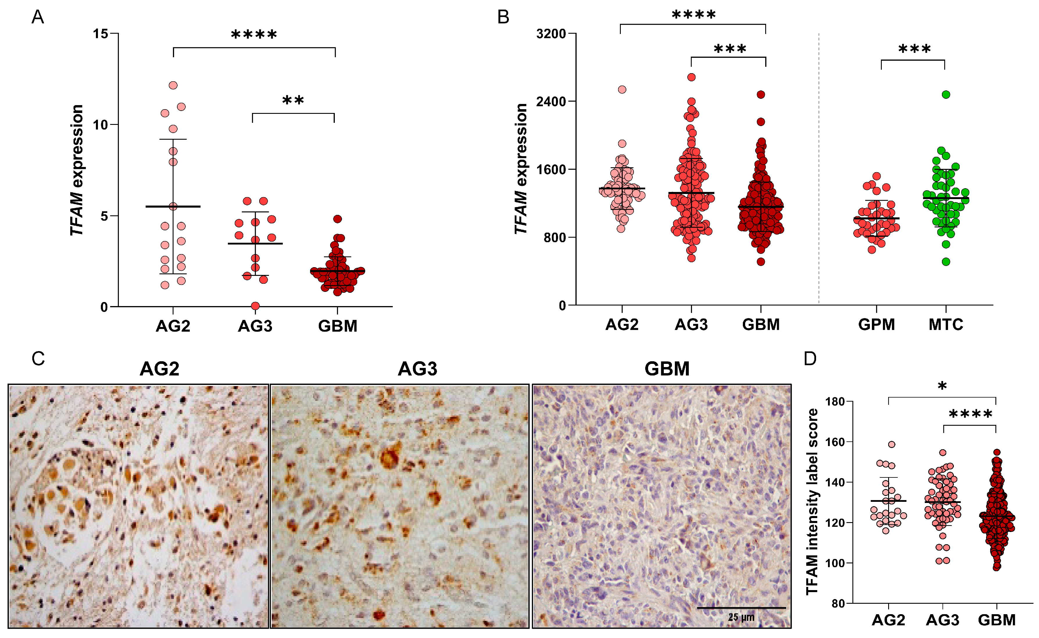 Ijms 26 10446 g001 Ijms 26 10446 g001