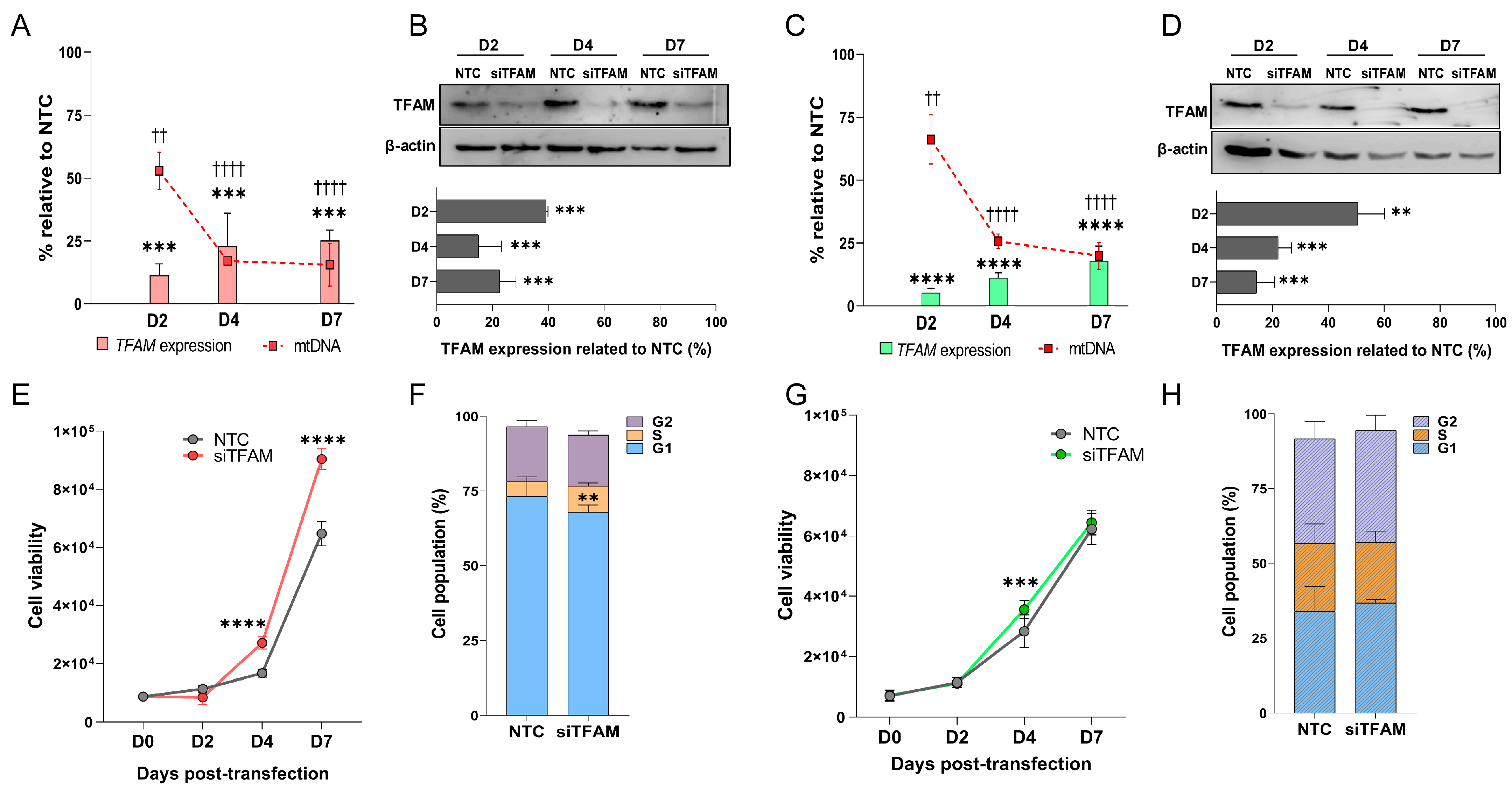 Ijms 26 10446 g002 Ijms 26 10446 g002
