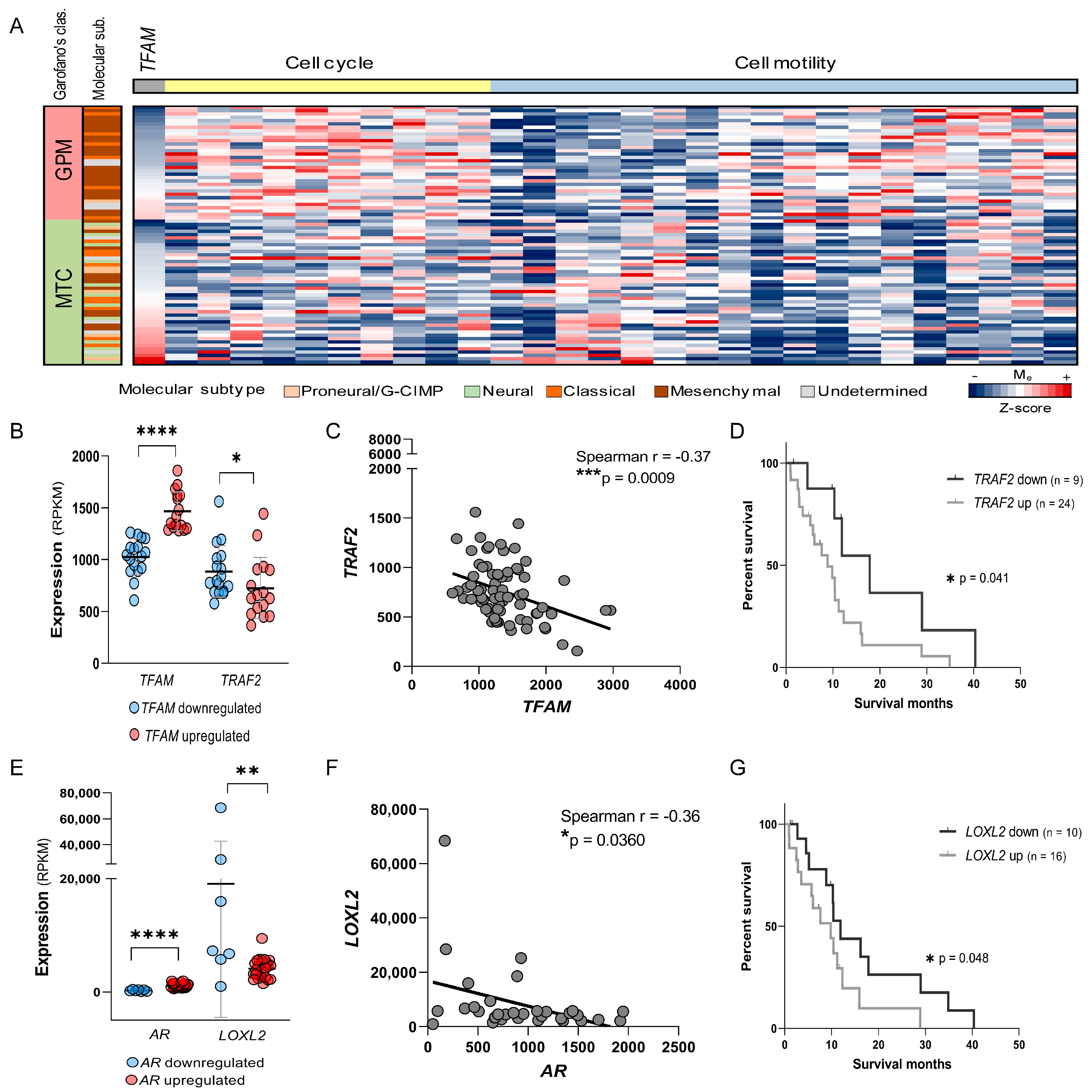 Ijms 26 10446 g007 Ijms 26 10446 g007