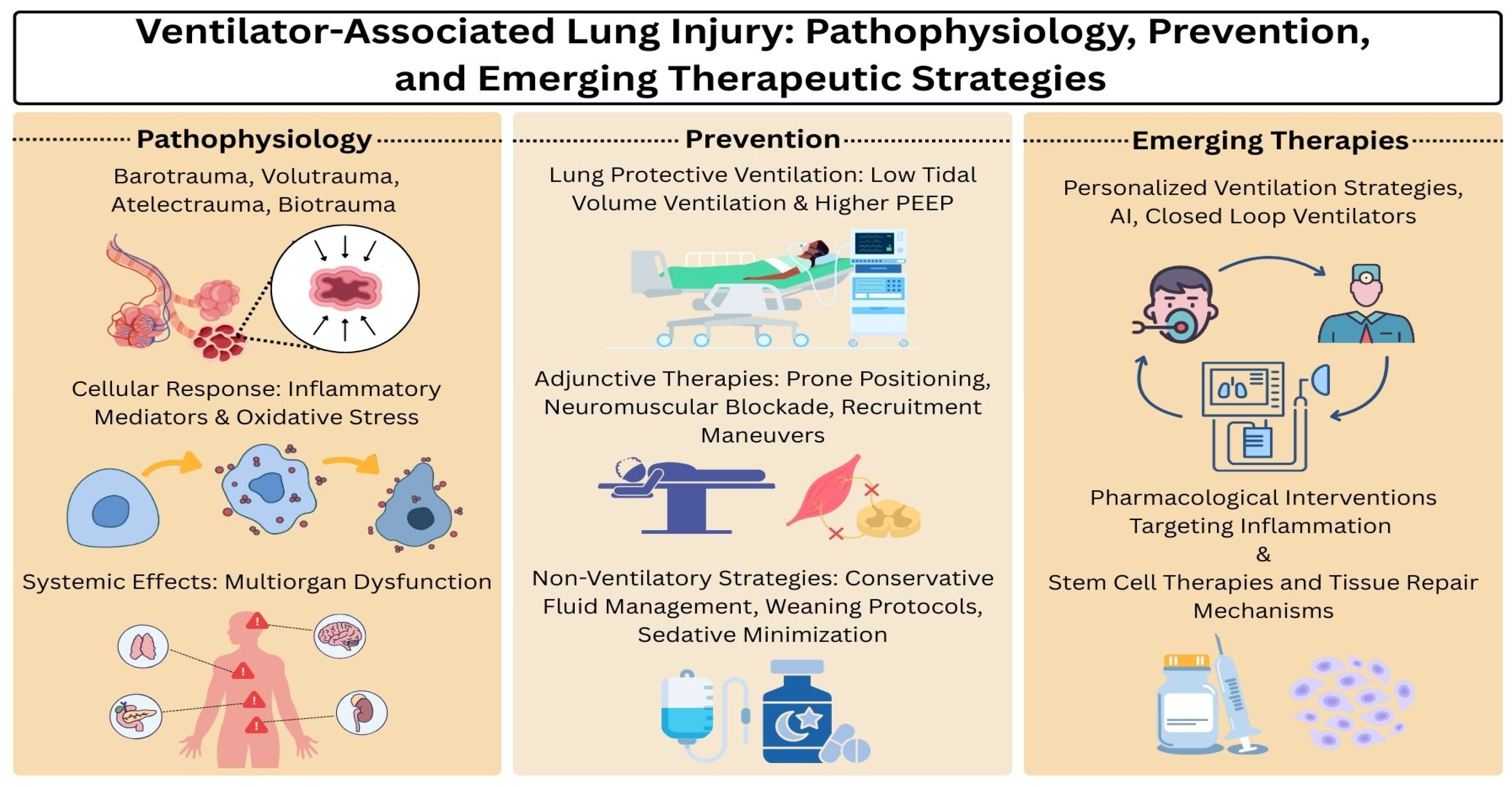 Ijms 26 10448 g001 Ijms 26 10448 g001