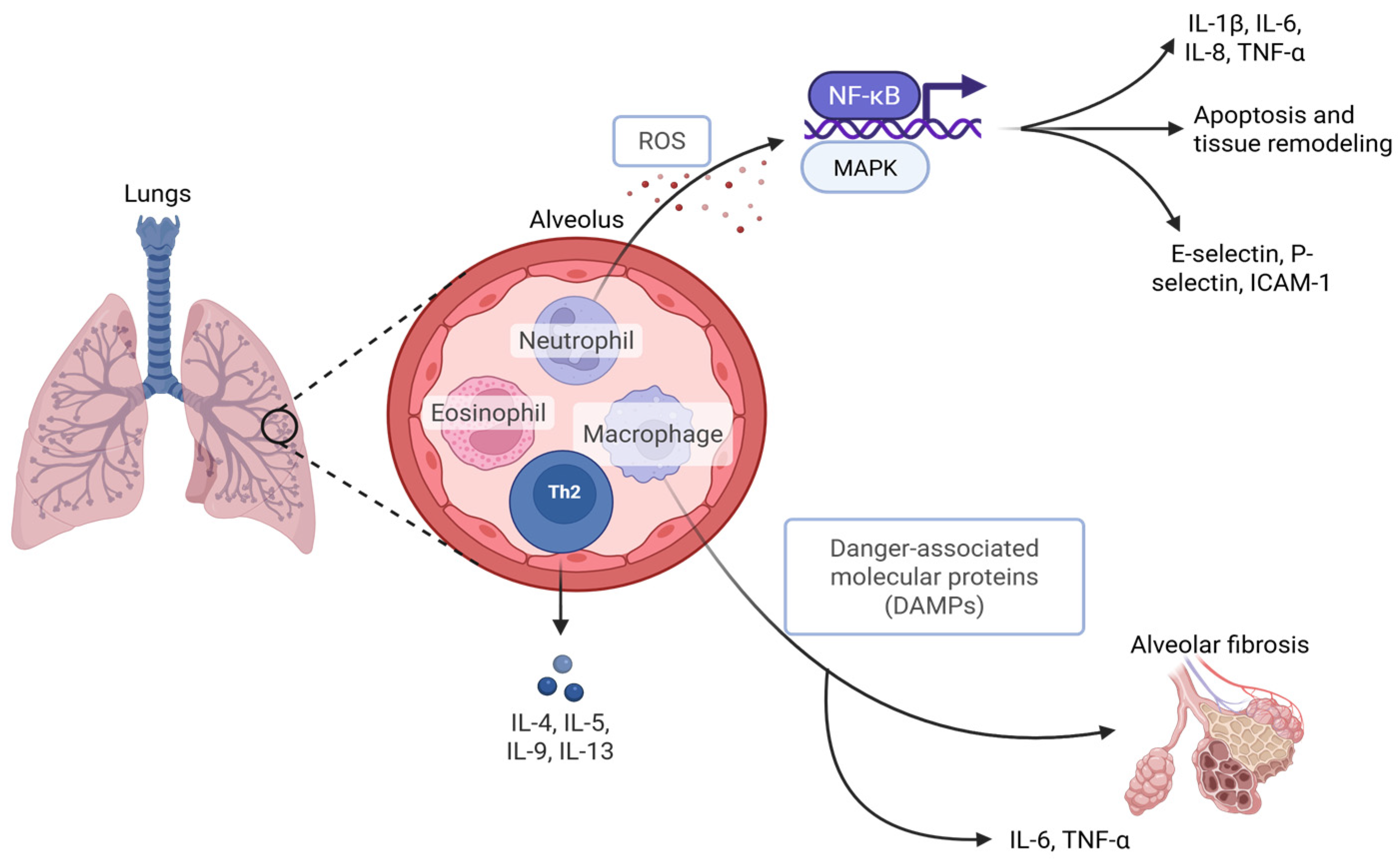 Ijms 26 10448 g002 Ijms 26 10448 g002