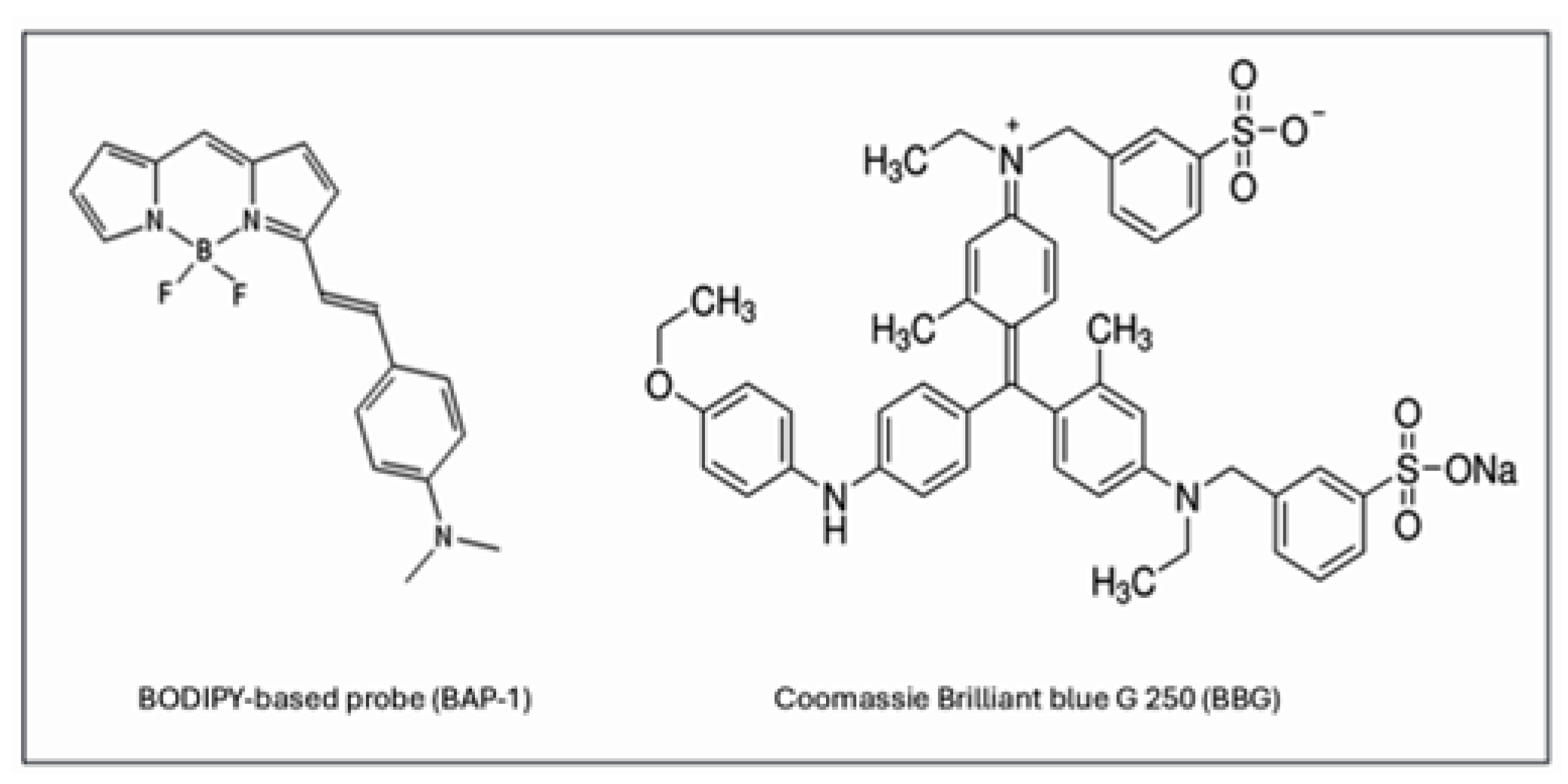 Ijms 26 10450 g001 Ijms 26 10450 g001