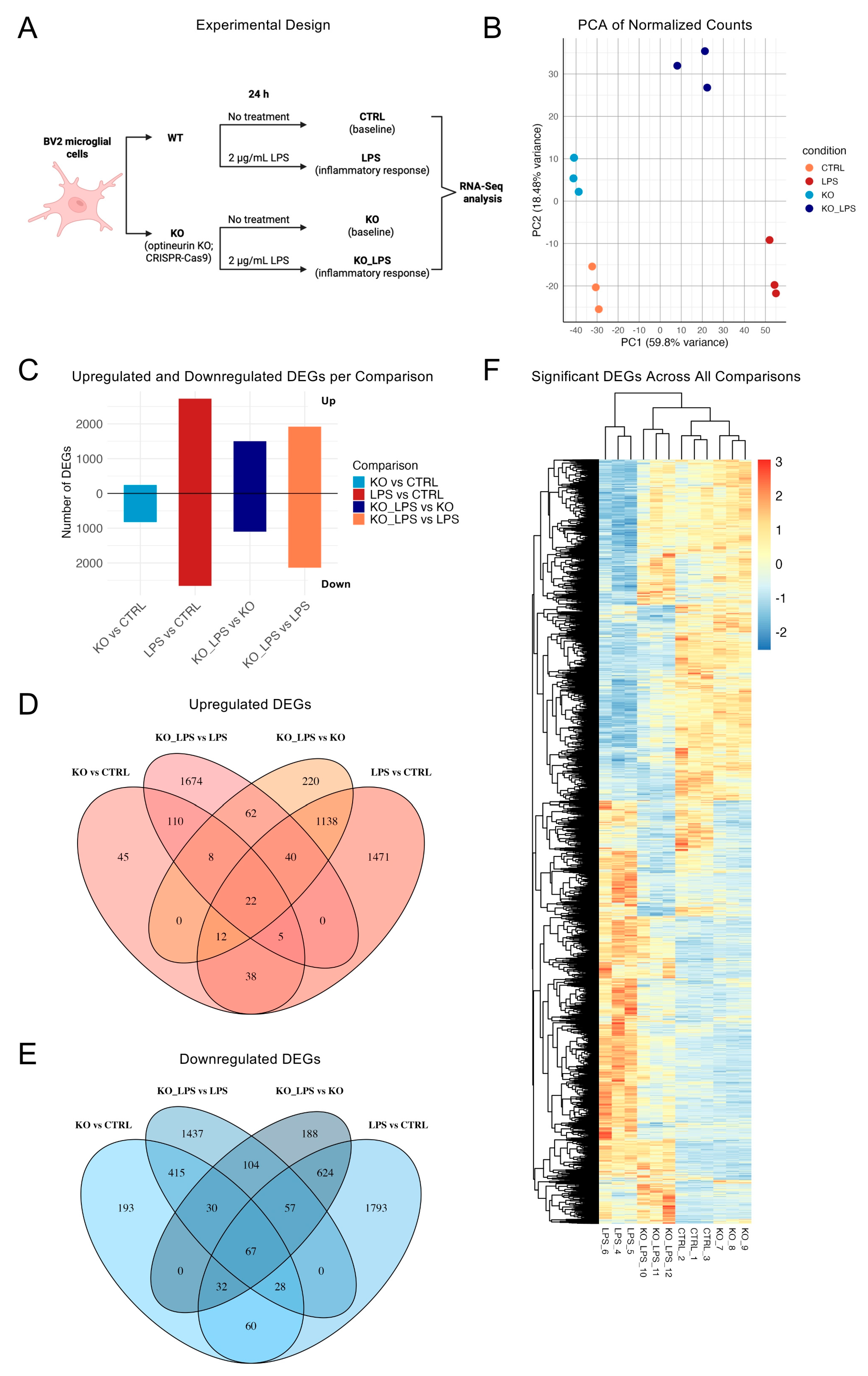 Ijms 26 10453 g001 Ijms 26 10453 g001