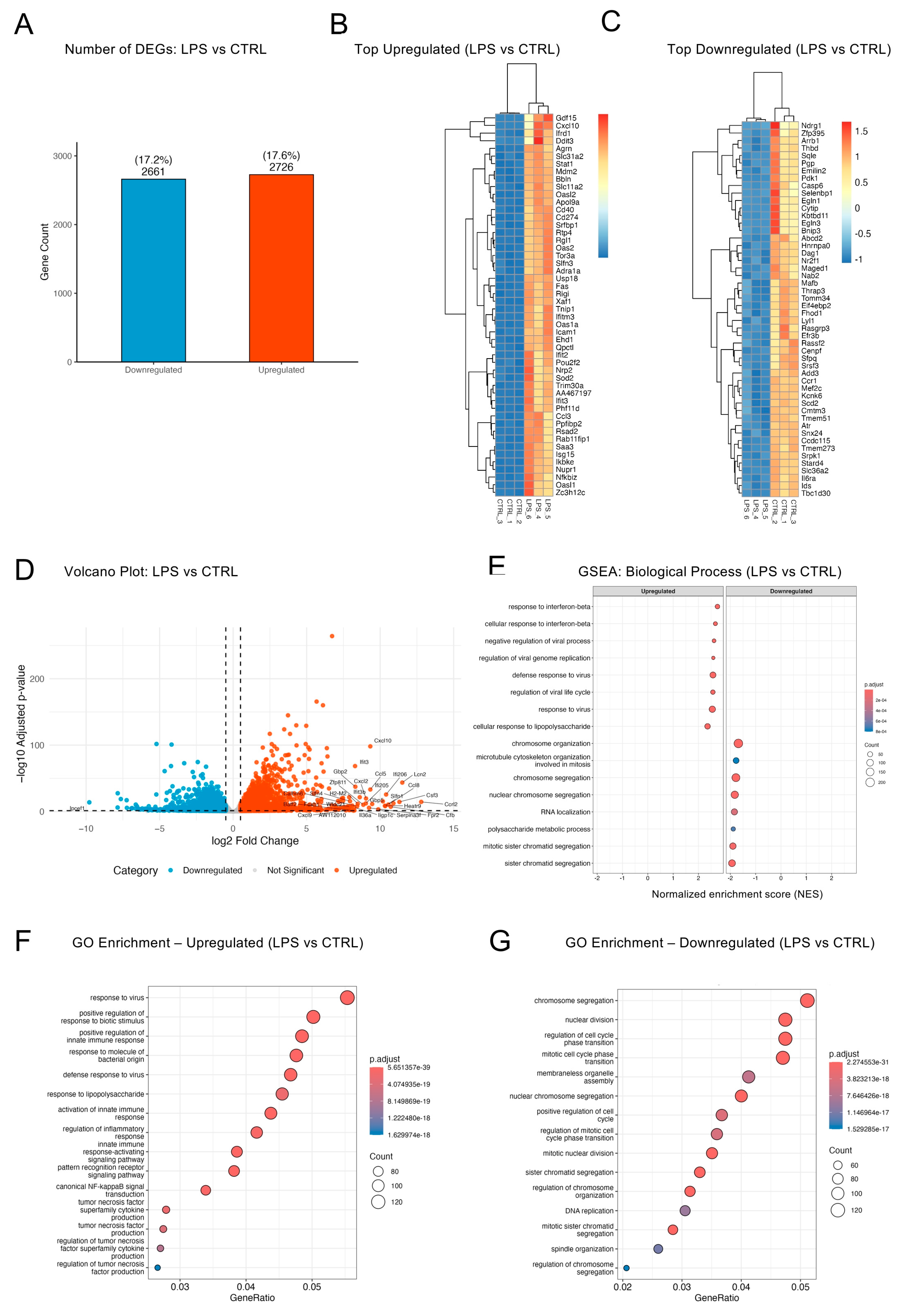 Ijms 26 10453 g003 Ijms 26 10453 g003