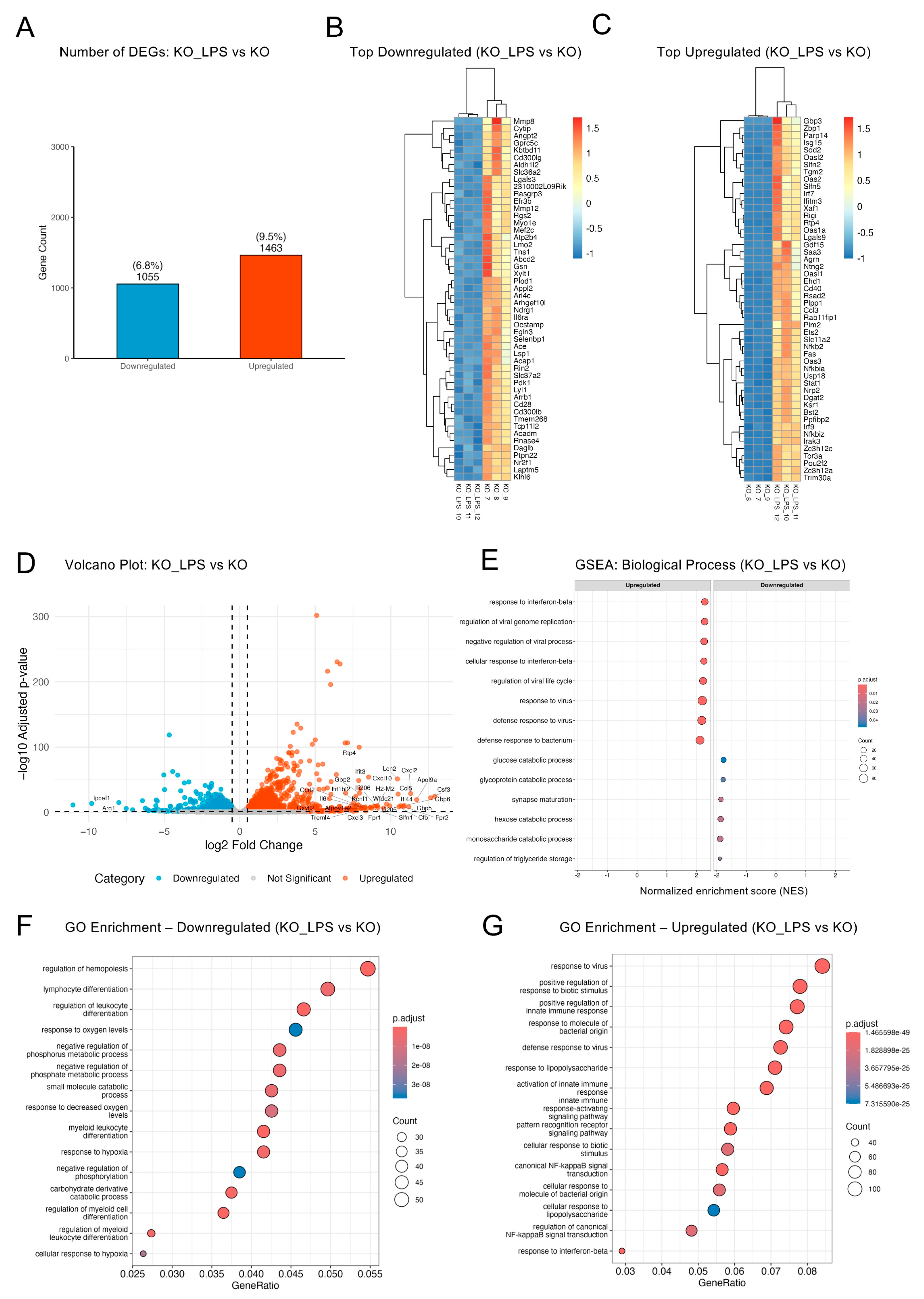 Ijms 26 10453 g004 Ijms 26 10453 g004