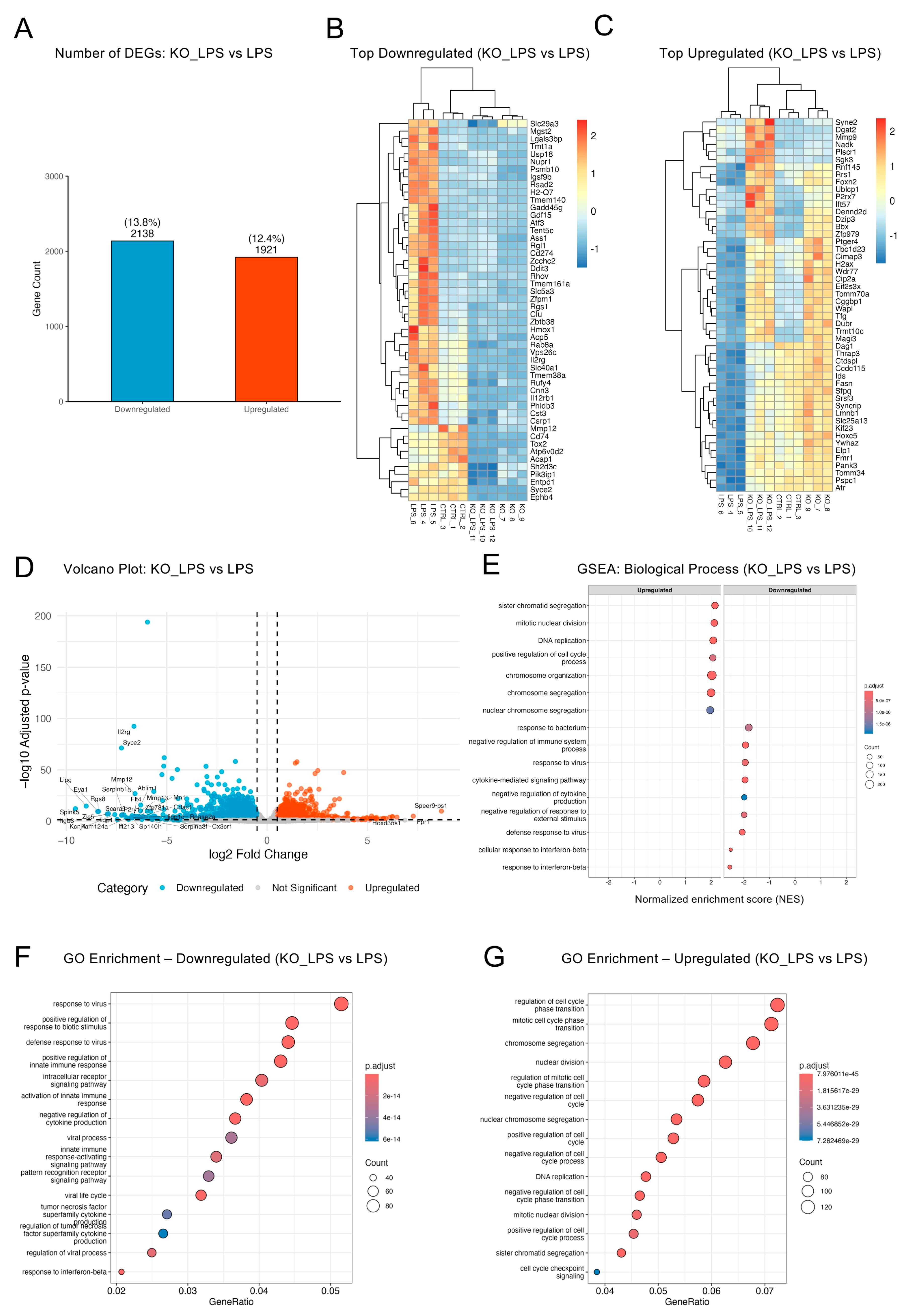 Ijms 26 10453 g005 Ijms 26 10453 g005