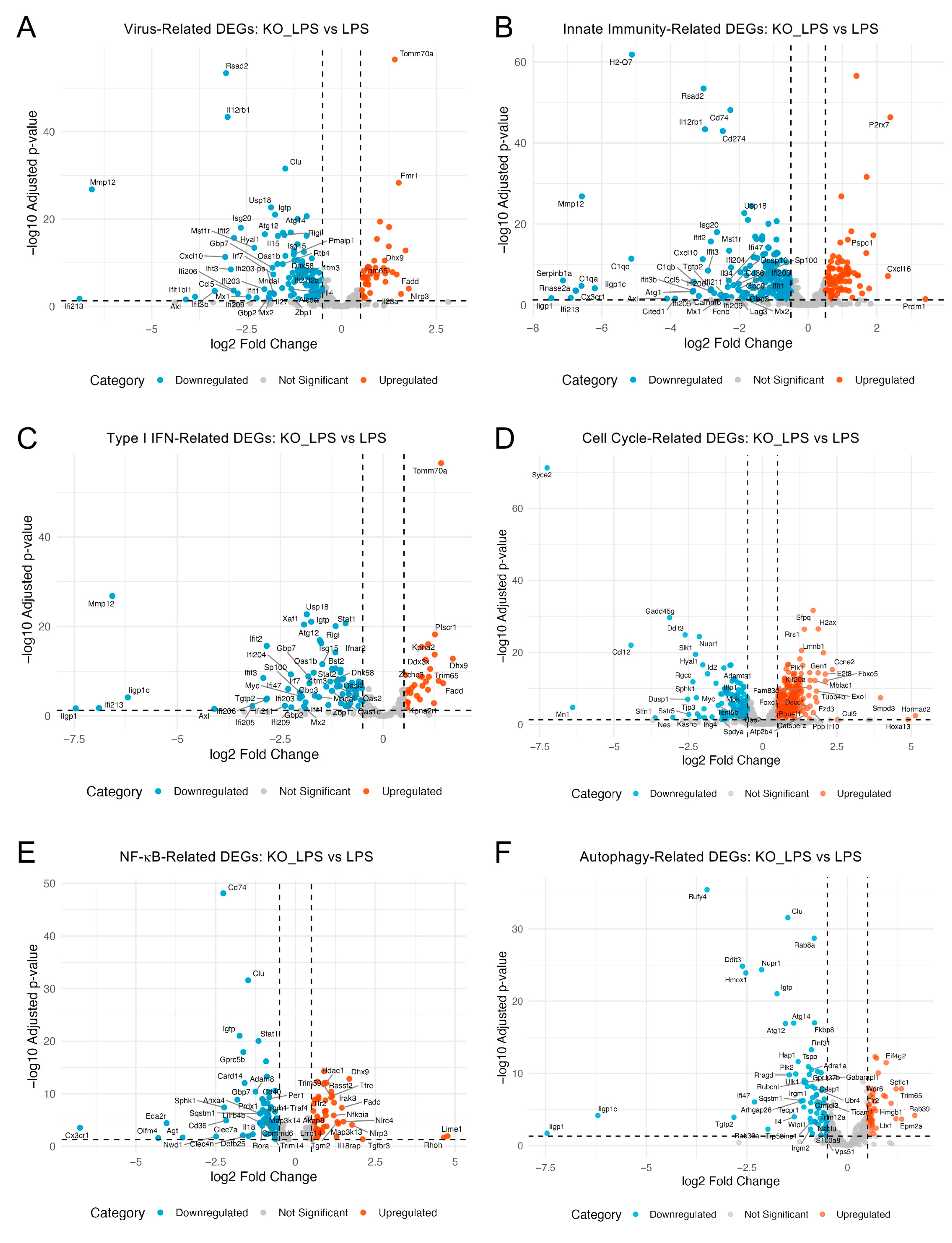 Ijms 26 10453 g006 Ijms 26 10453 g006