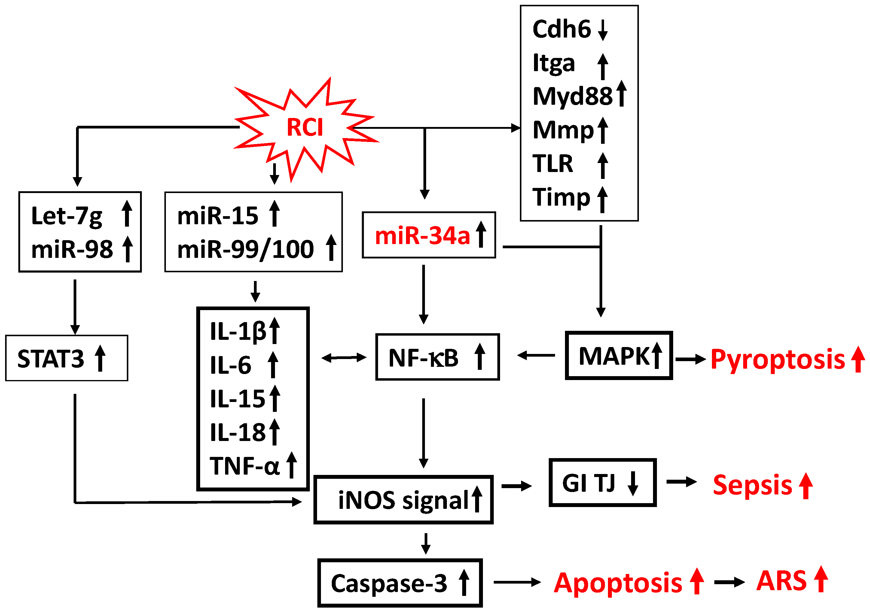 Ijms 26 10456 g001 Ijms 26 10456 g001