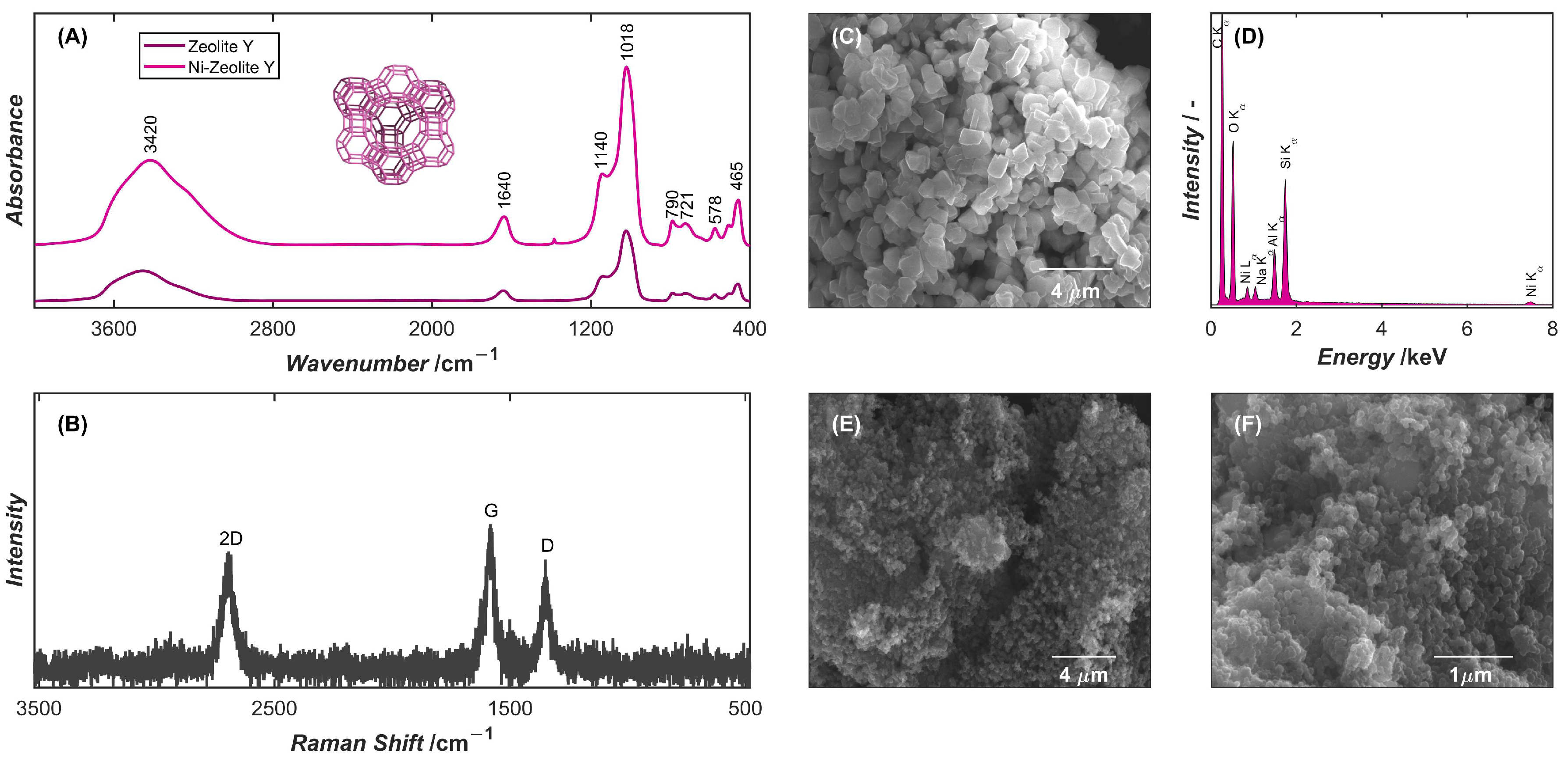 Ijms 26 10469 g001 Ijms 26 10469 g001