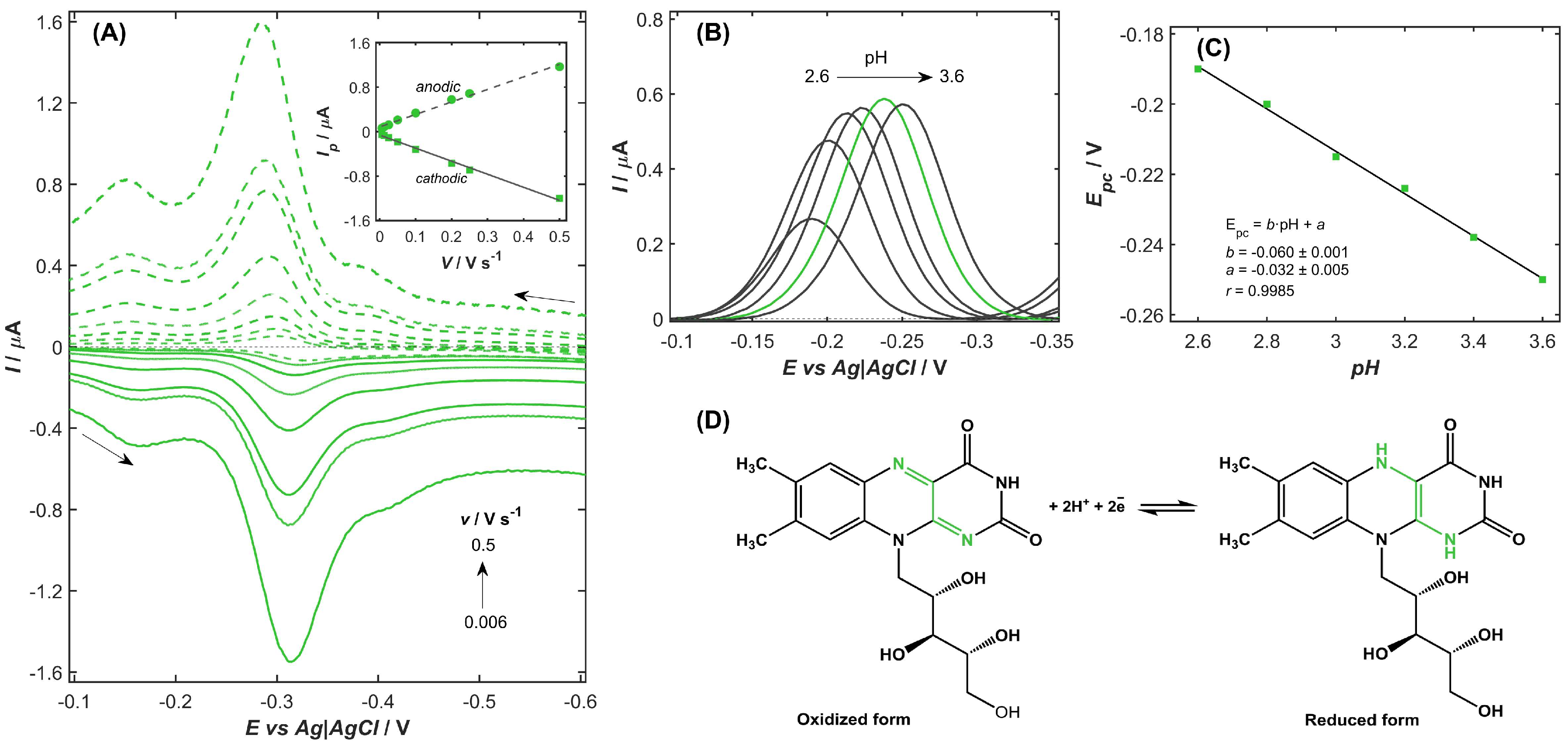 Ijms 26 10469 g003 Ijms 26 10469 g003