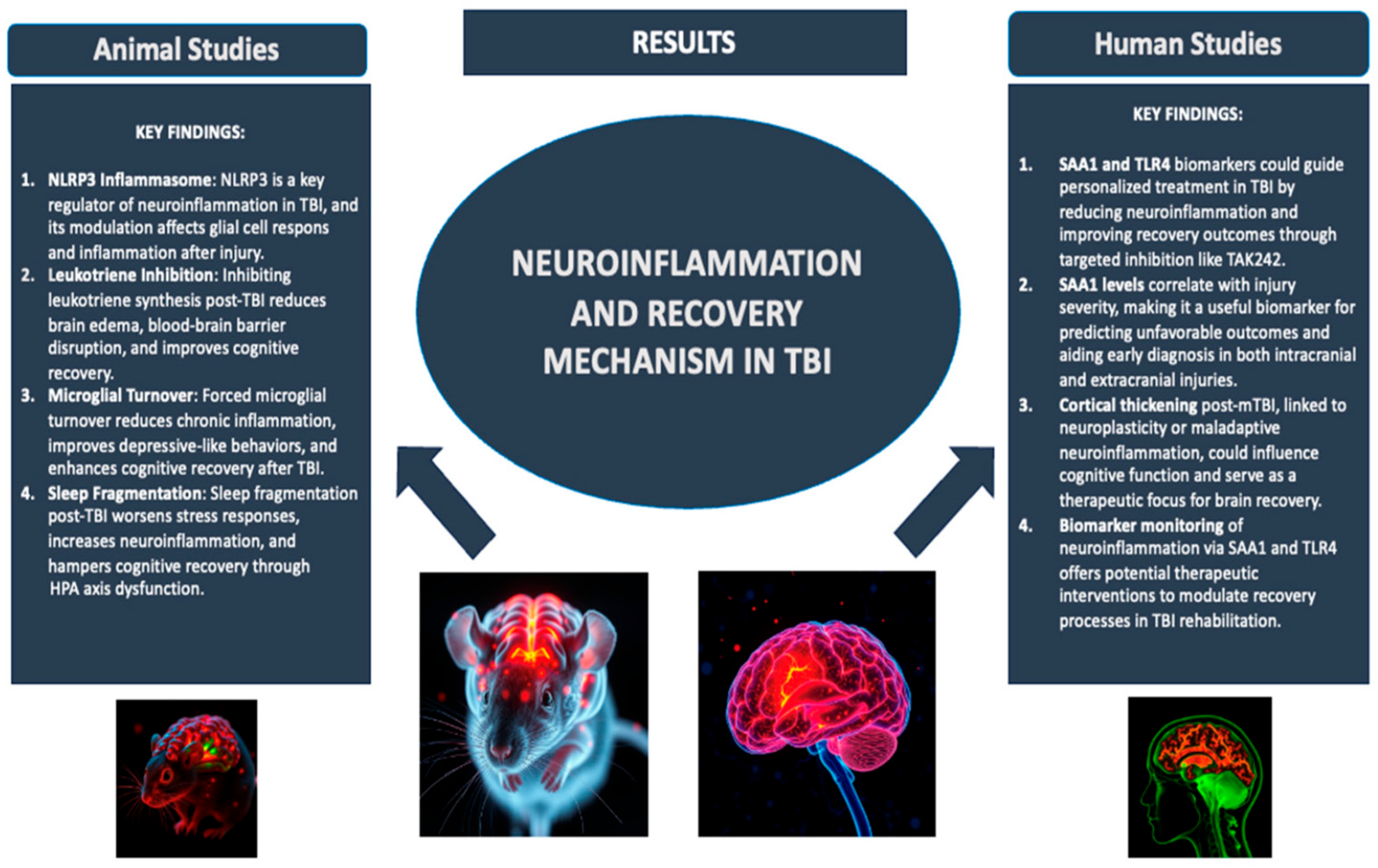 Ijms 26 10473 g001 Ijms 26 10473 g001