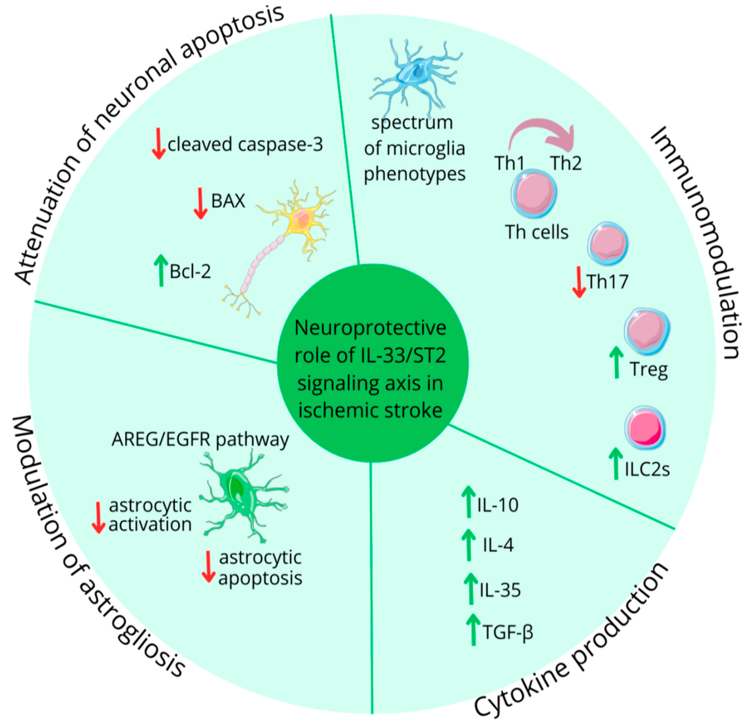 Ijms 26 10473 g003 Ijms 26 10473 g003
