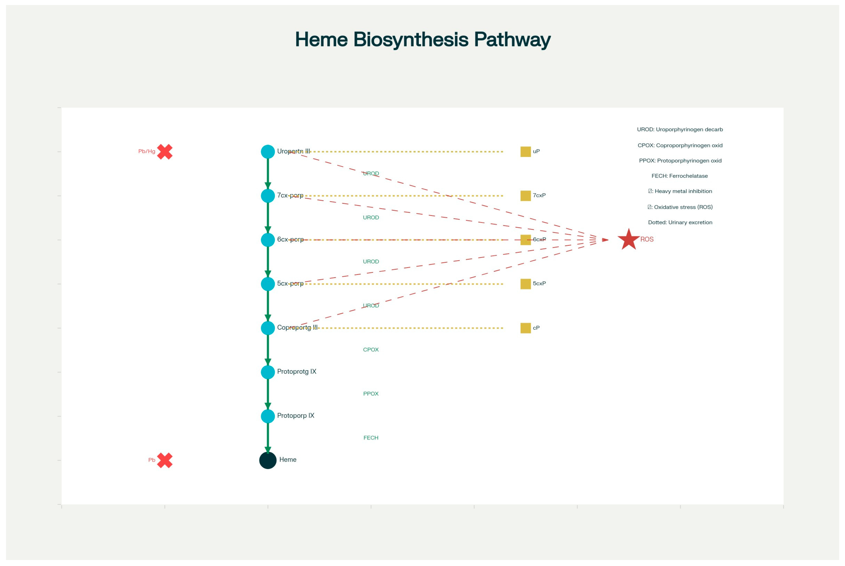 Ijms 26 10478 g001 Ijms 26 10478 g001