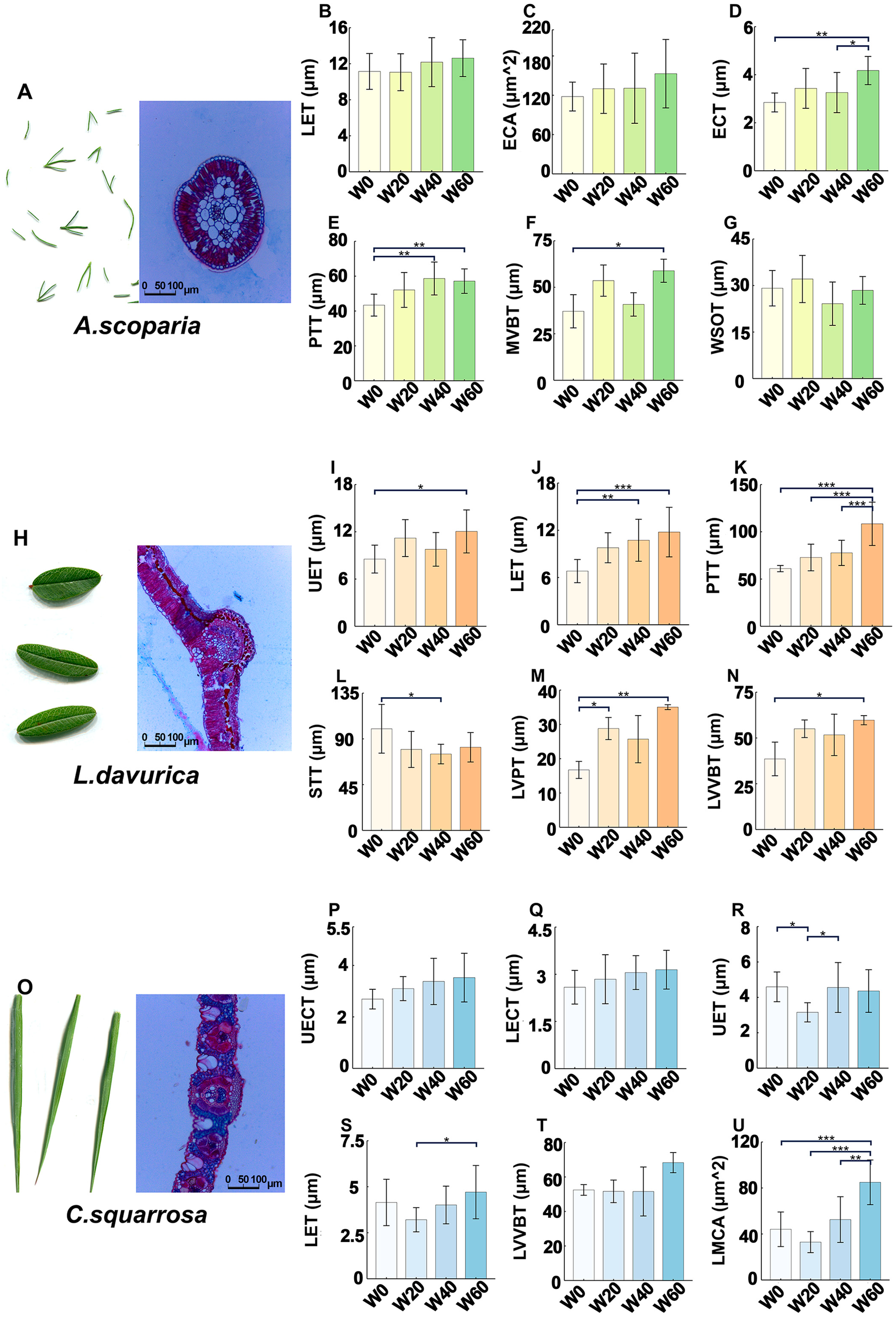 Ijms 26 10483 g001 Ijms 26 10483 g001