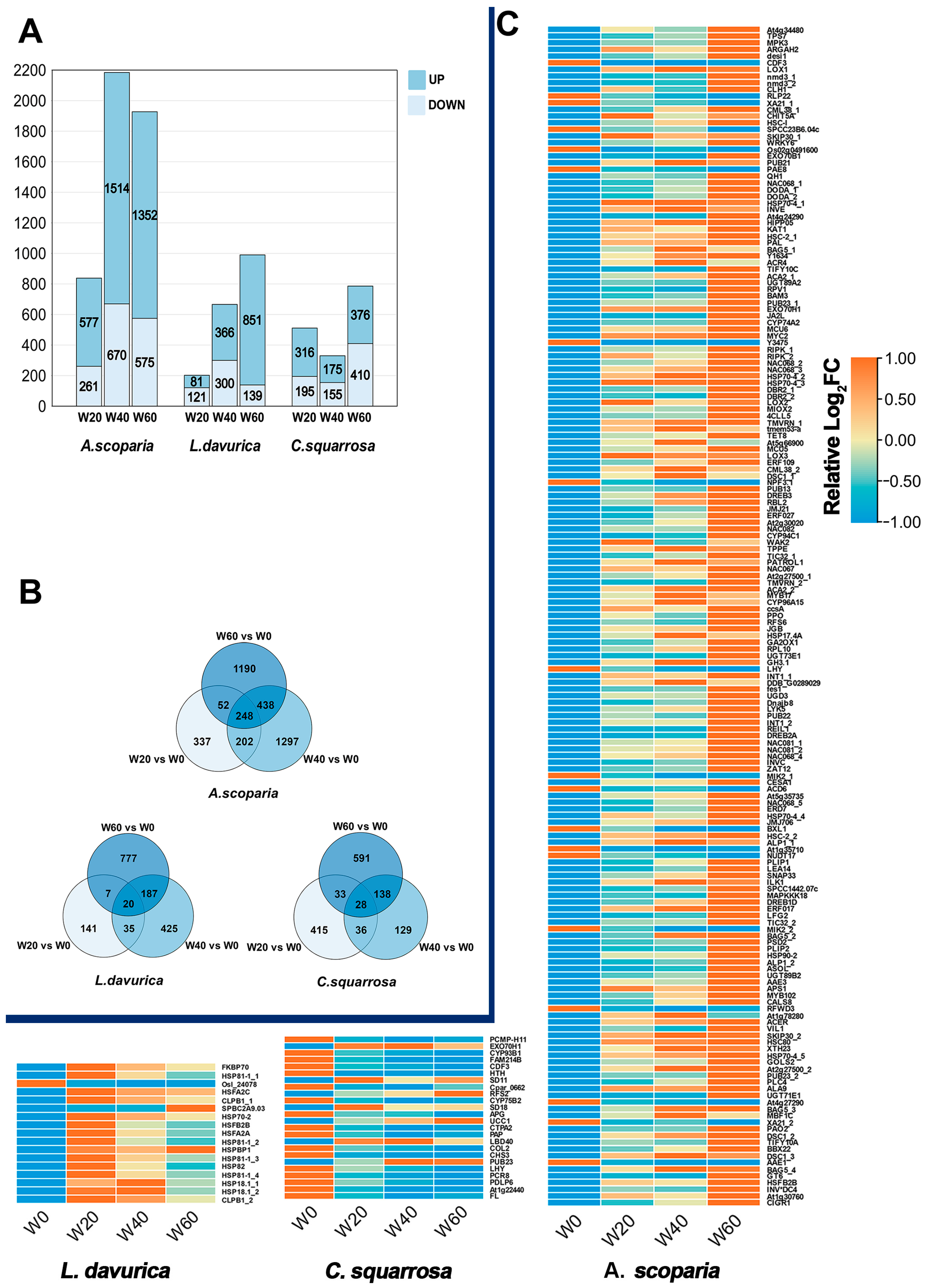 Ijms 26 10483 g003 Ijms 26 10483 g003