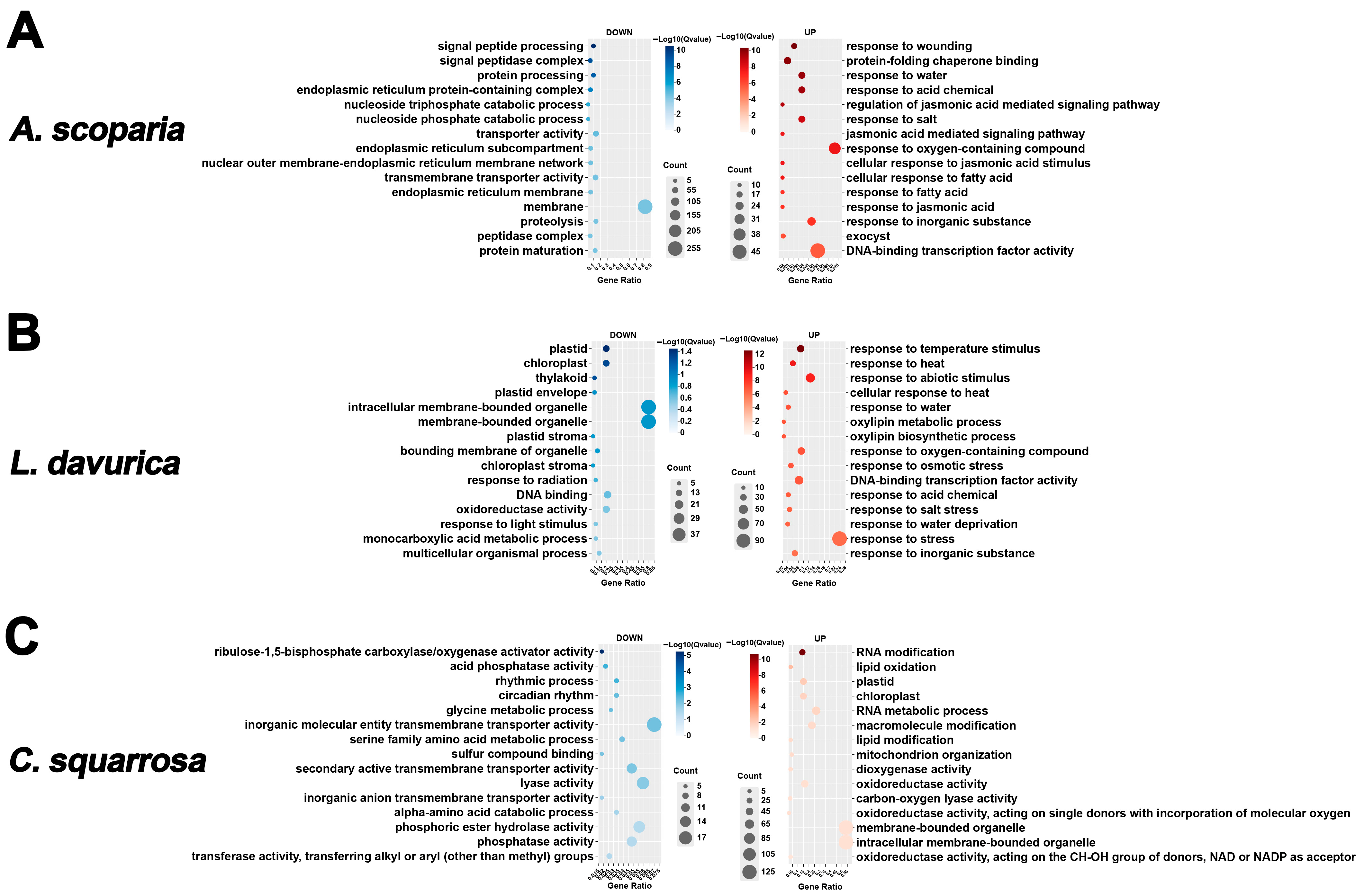 Ijms 26 10483 g004 Ijms 26 10483 g004