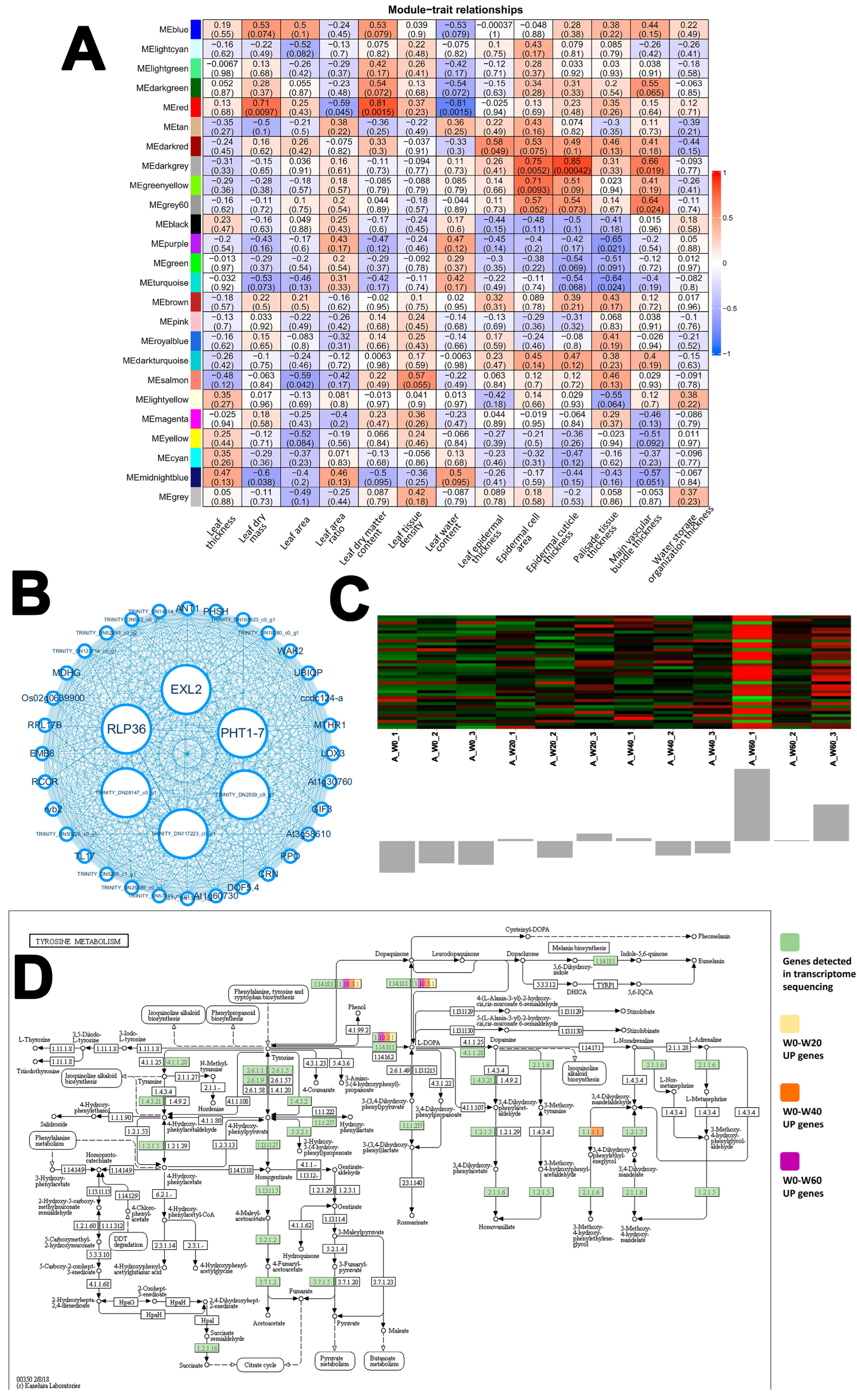 Ijms 26 10483 g005 Ijms 26 10483 g005