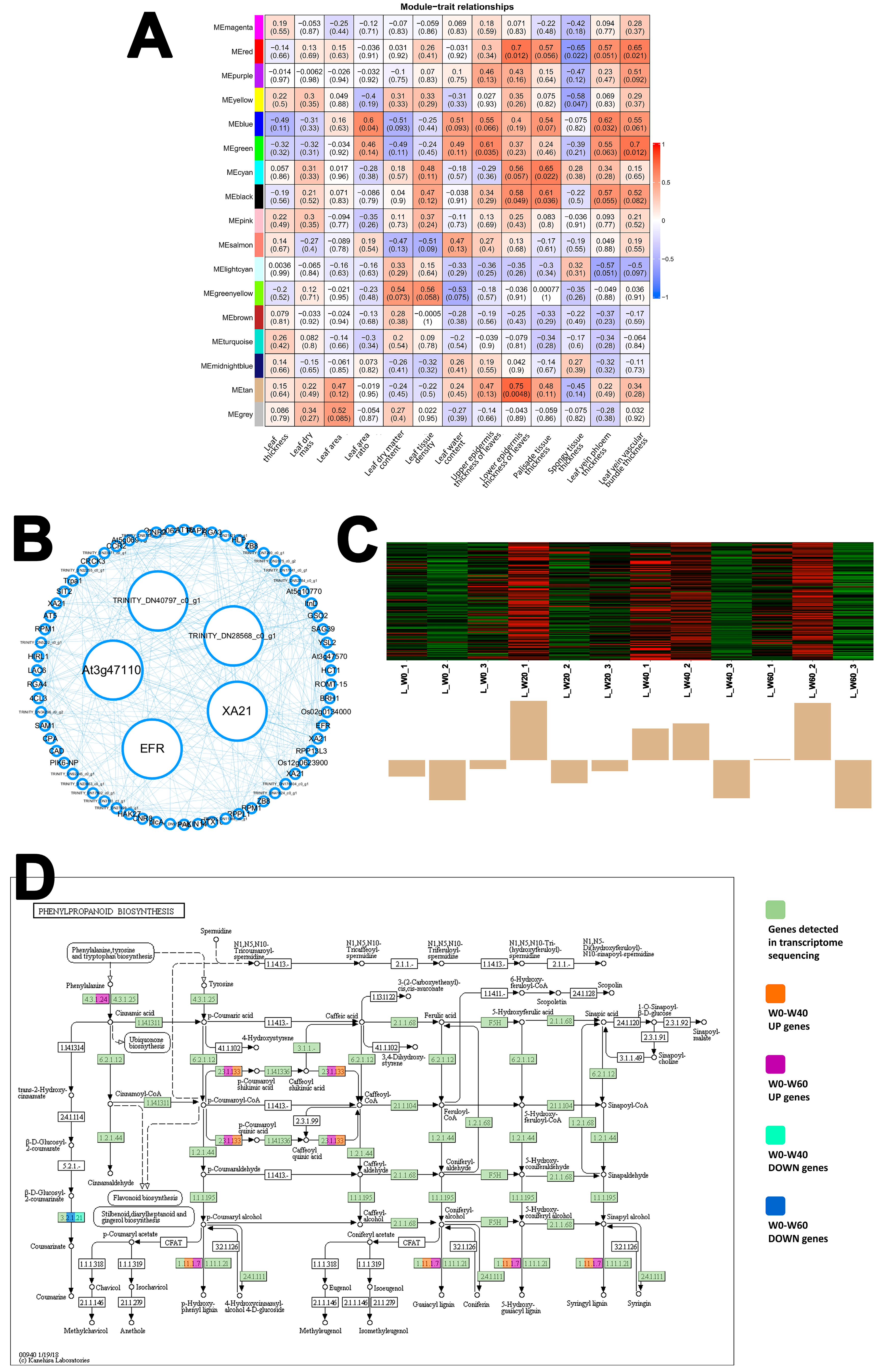 Ijms 26 10483 g006 Ijms 26 10483 g006