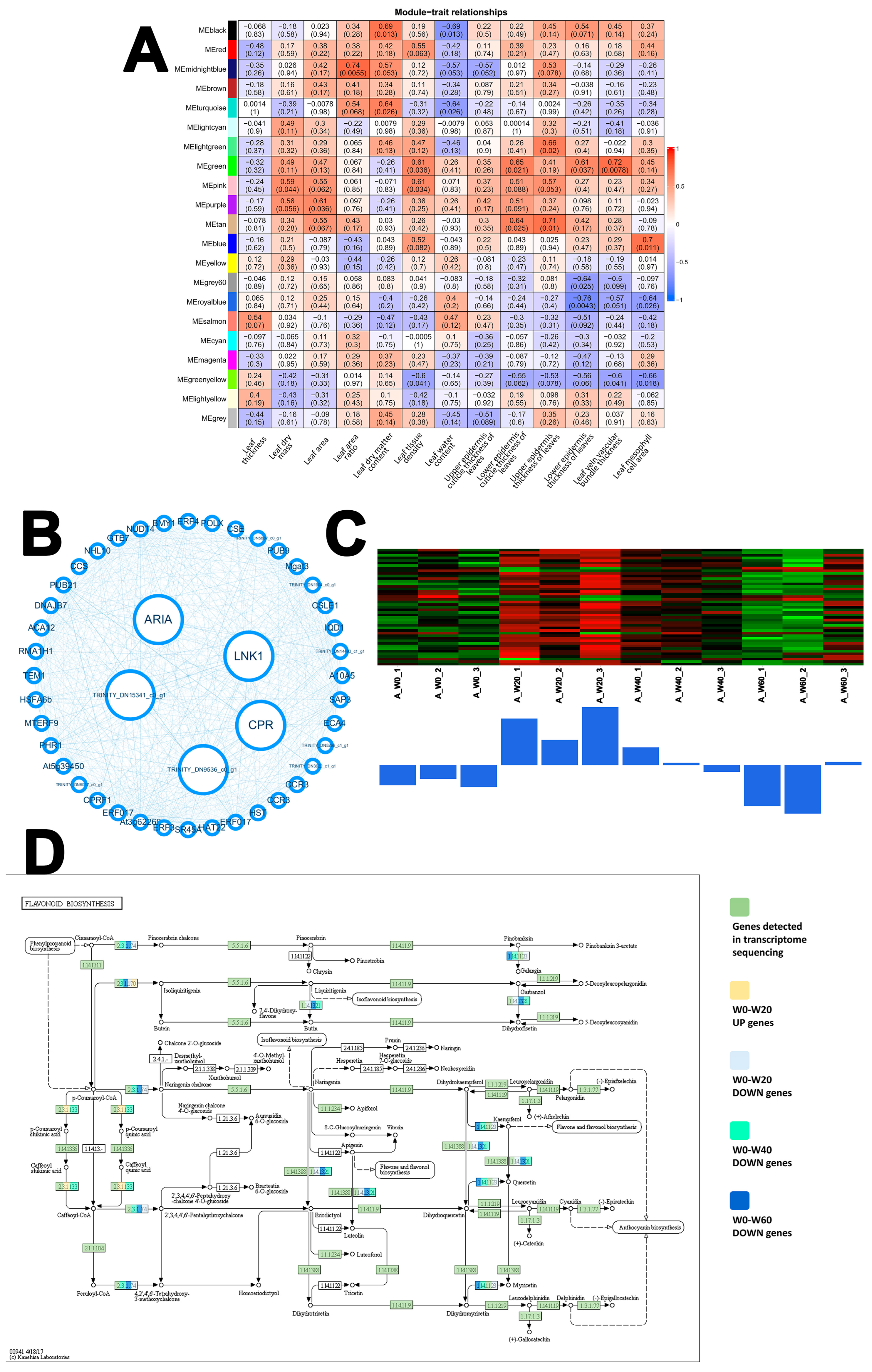 Ijms 26 10483 g007 Ijms 26 10483 g007