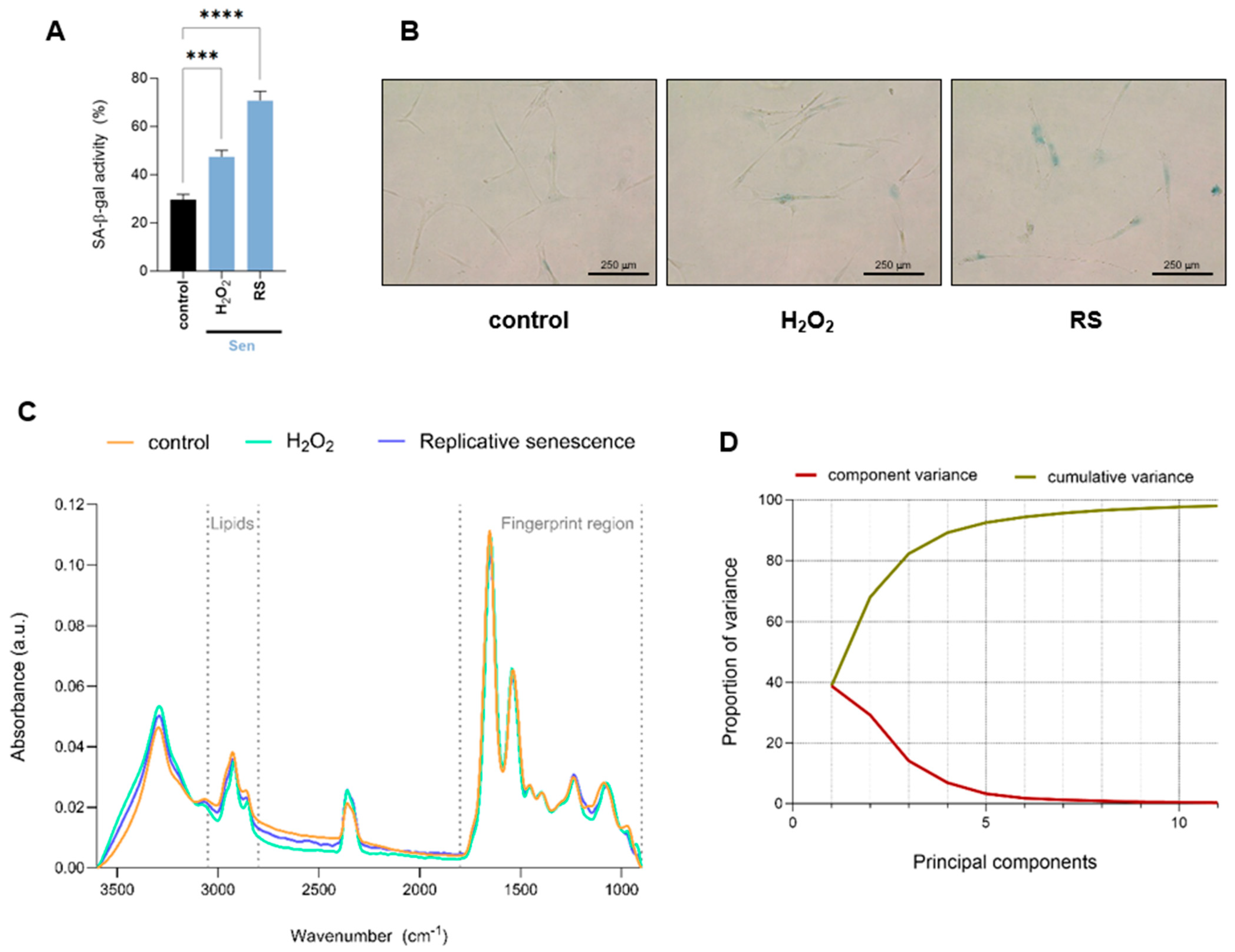 Ijms 26 10495 g001 Ijms 26 10495 g001