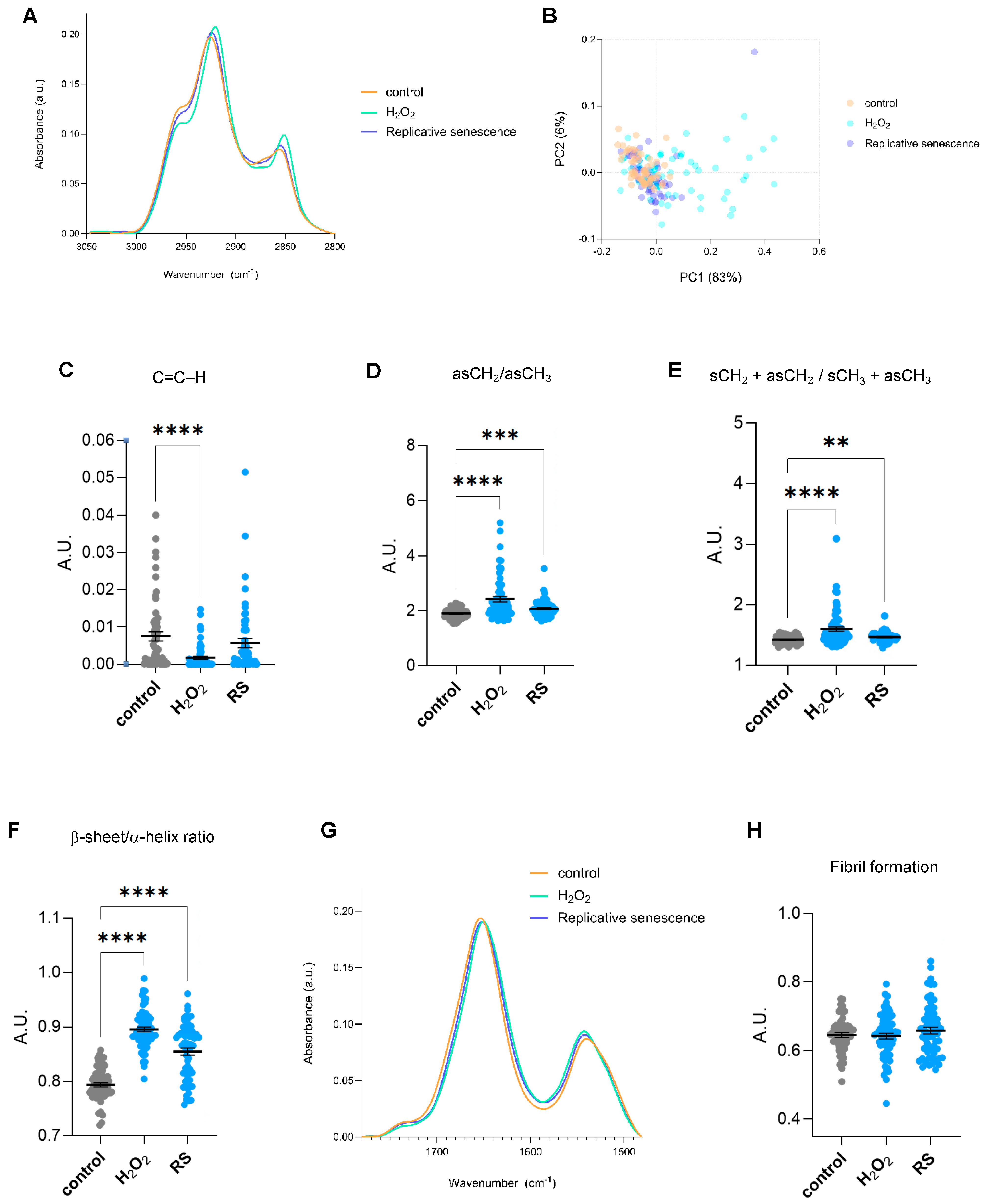 Ijms 26 10495 g002 Ijms 26 10495 g002