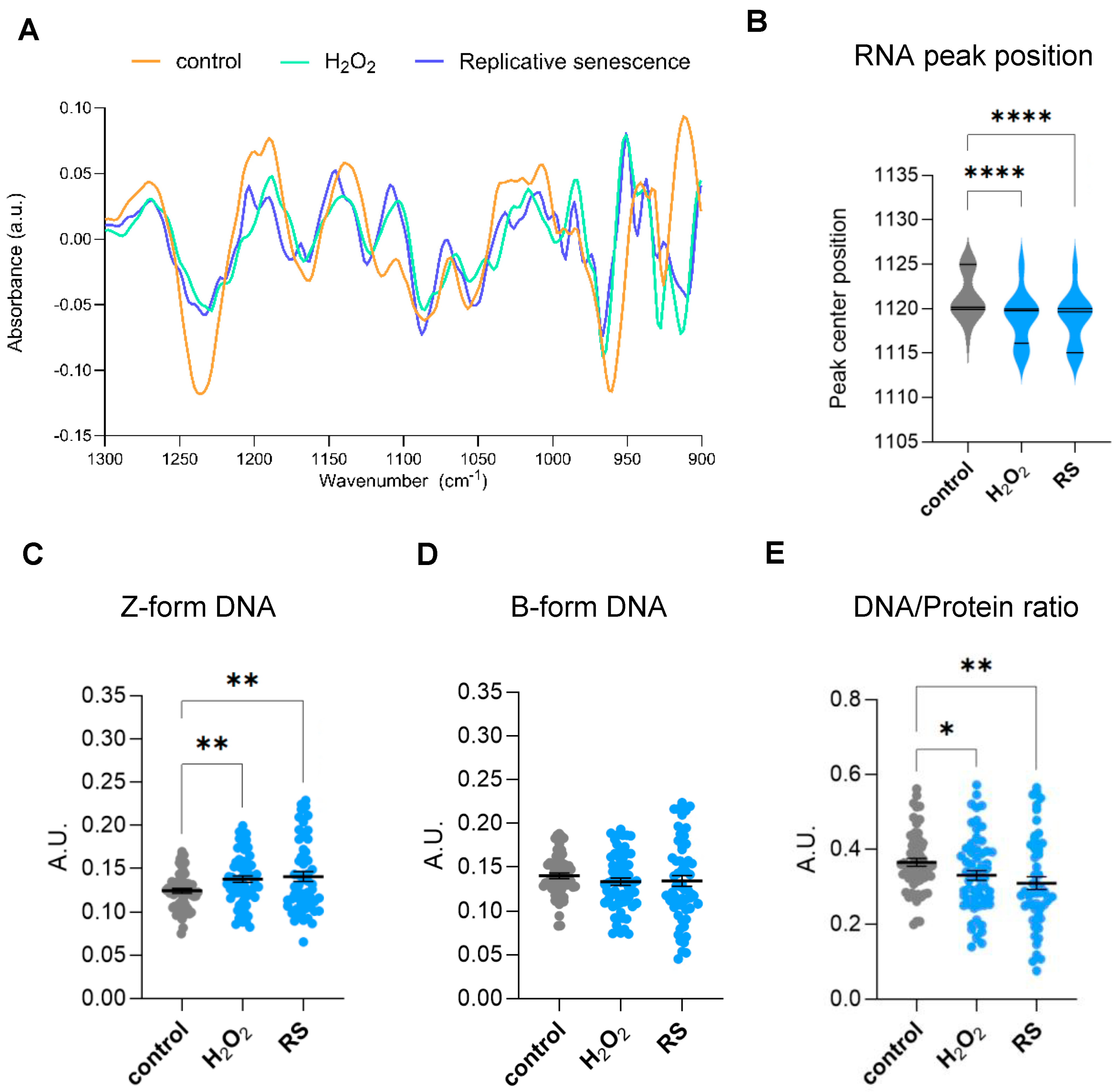 Ijms 26 10495 g003 Ijms 26 10495 g003