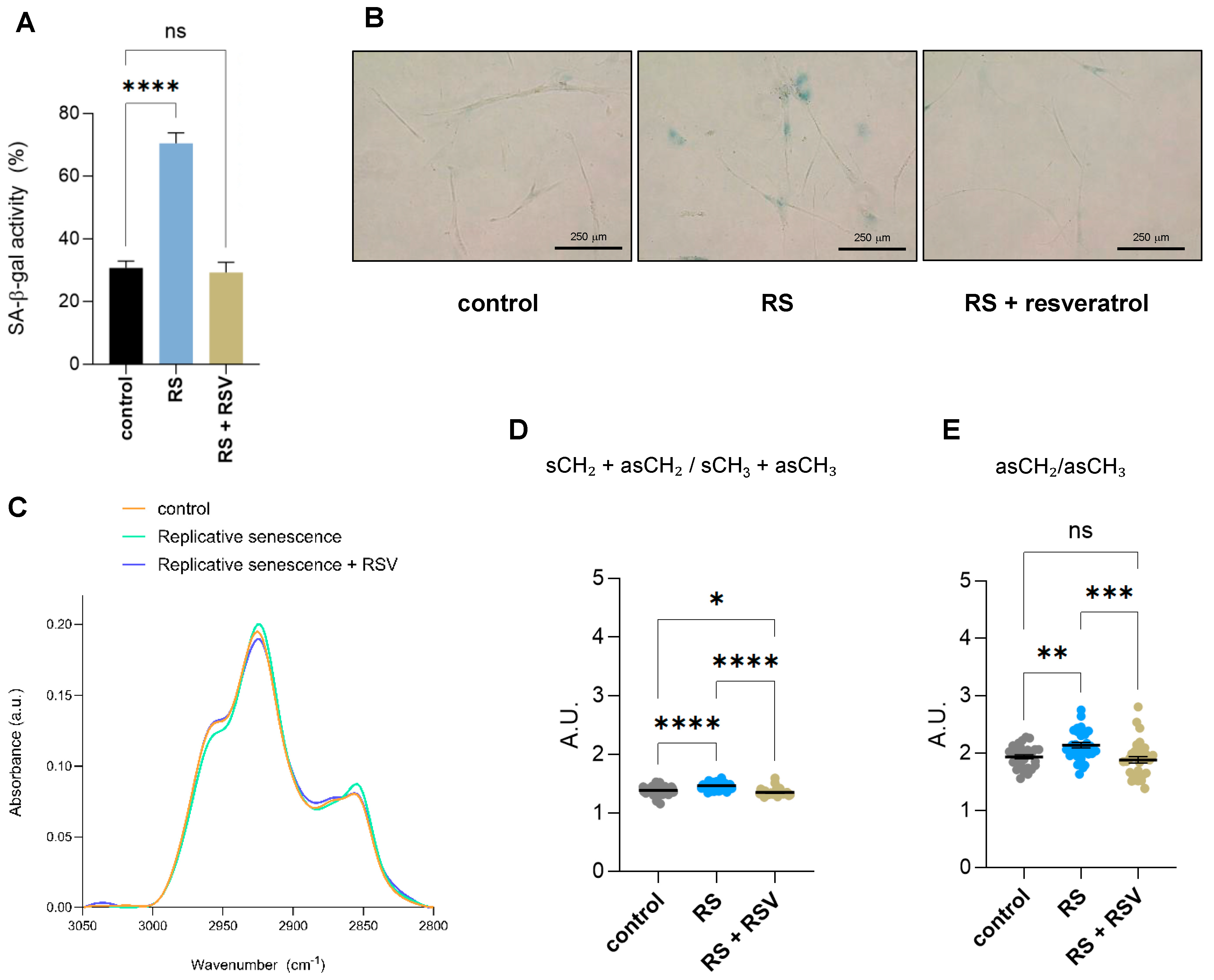 Ijms 26 10495 g004 Ijms 26 10495 g004