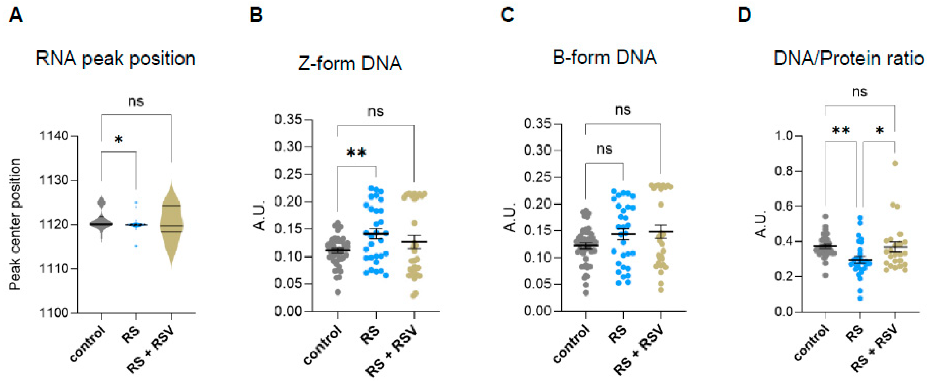 Ijms 26 10495 g005 Ijms 26 10495 g005